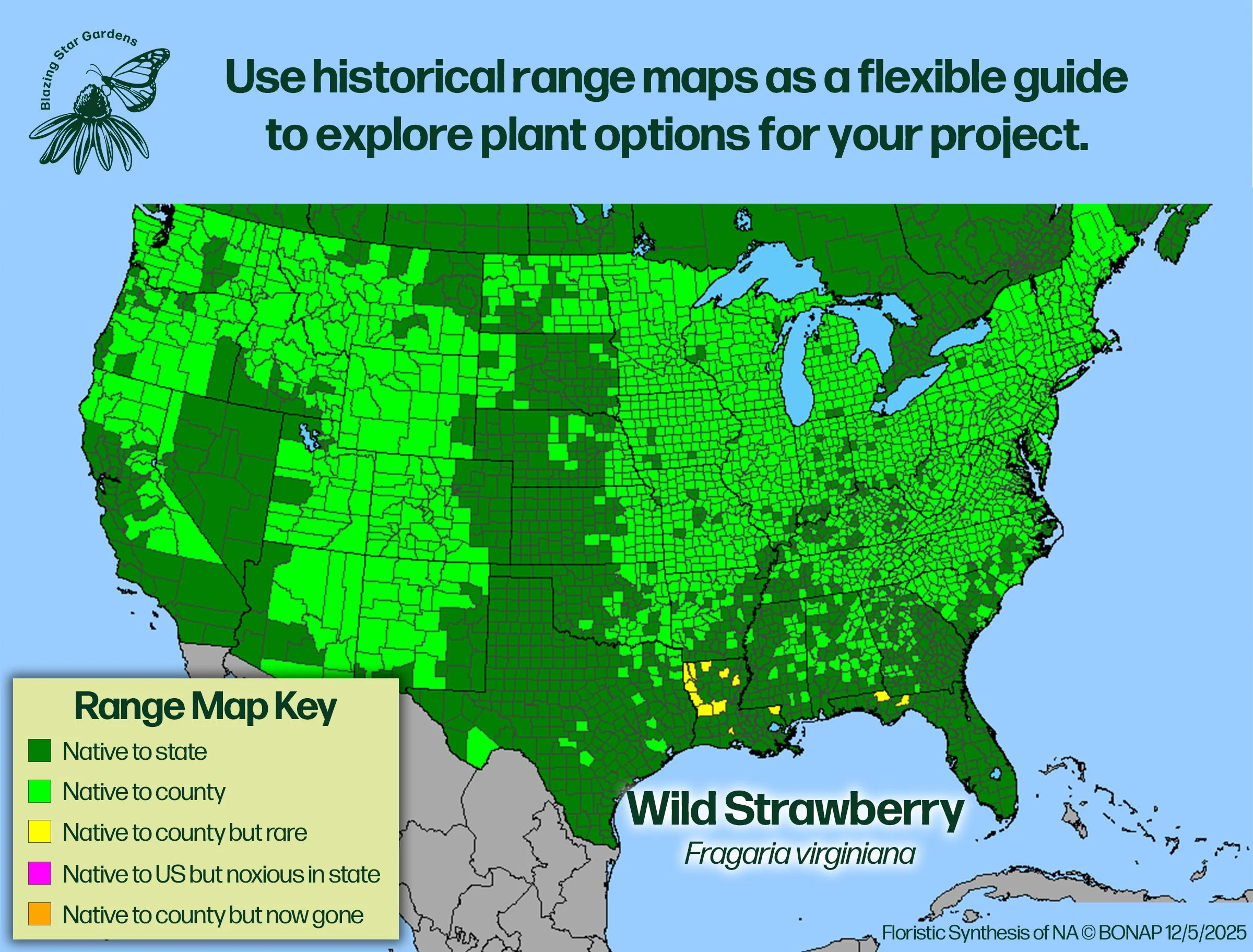 Native-range-map-for-Wild-Strawberry-Fragaria-virginiana-Native-plant-wild-flower-nursery.jpg