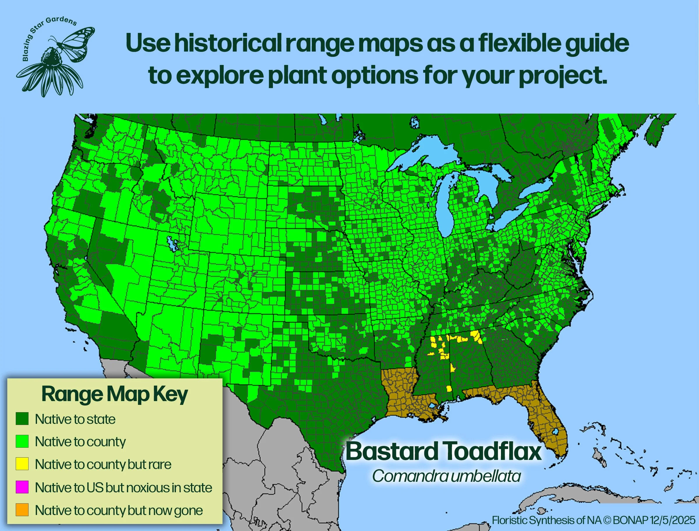 Native-range-map-for-Bastard-Toadflax-Comandra-umbellata-Native-plant-wild-flower-nursery.jpg
