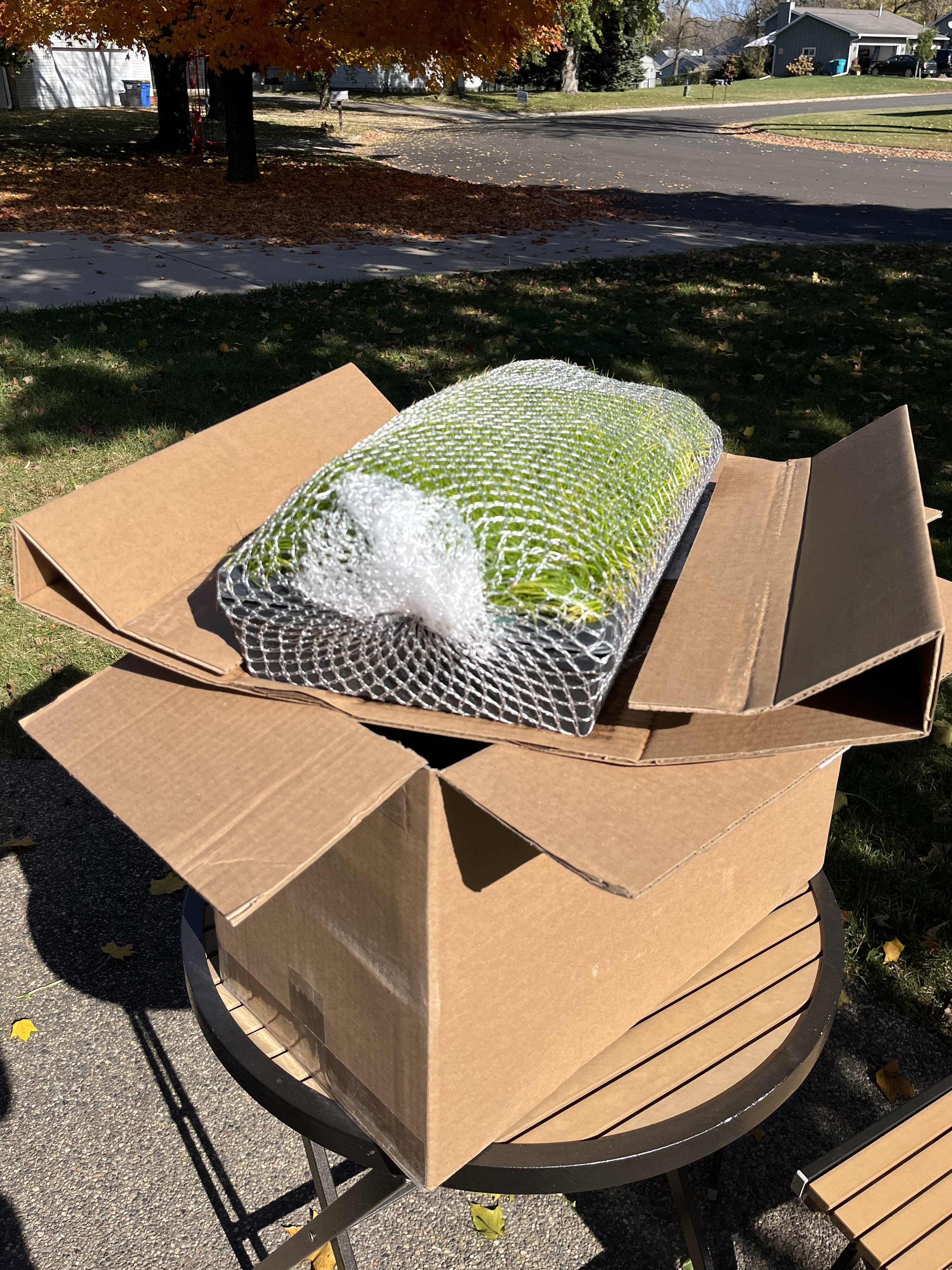 Cardboard boxes of native plant plugs wrapped in netting that were shipped from a native plant nursery in Minnesota