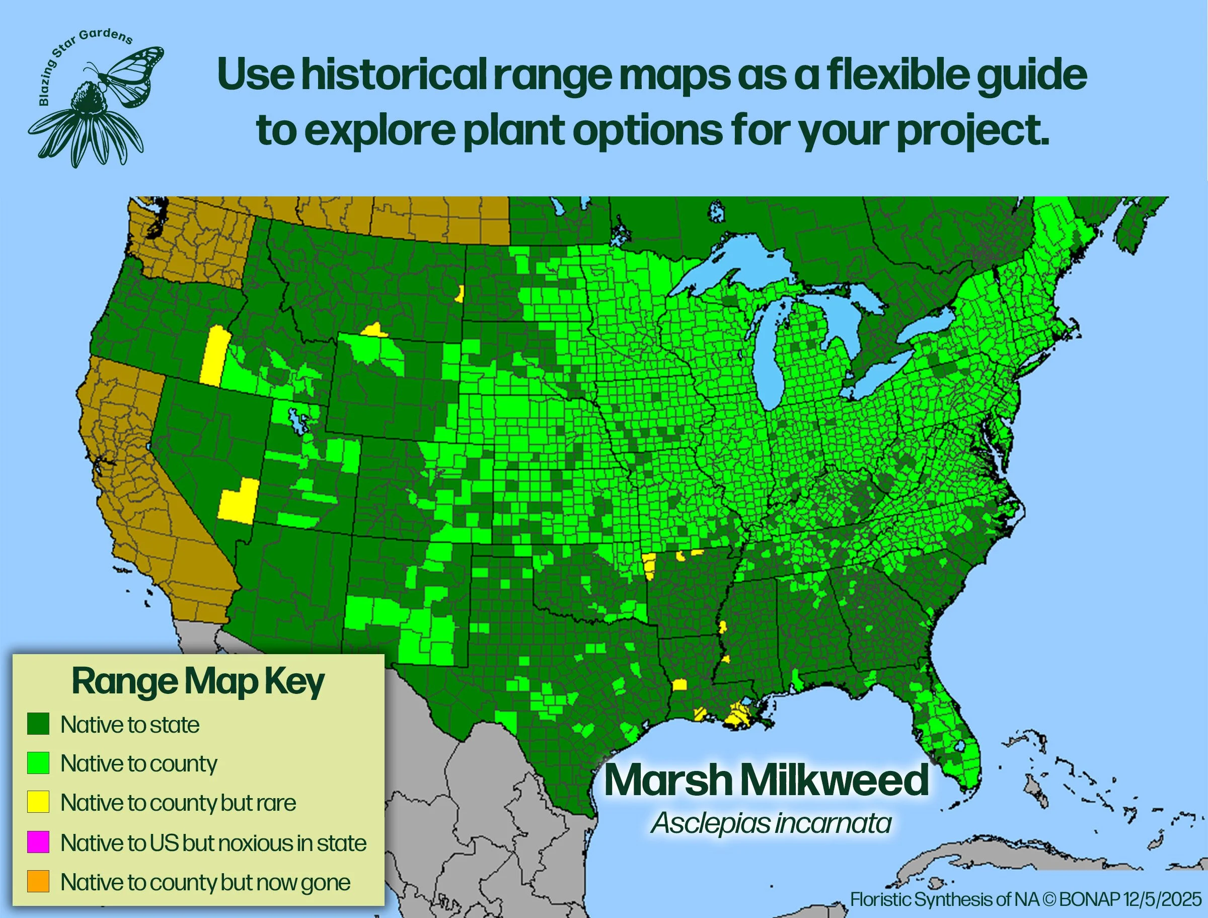 Native-range-map-for-Marsh-Milkweed-Asclepias-incarnata-Native-plant-wild-flower-nursery.jpg