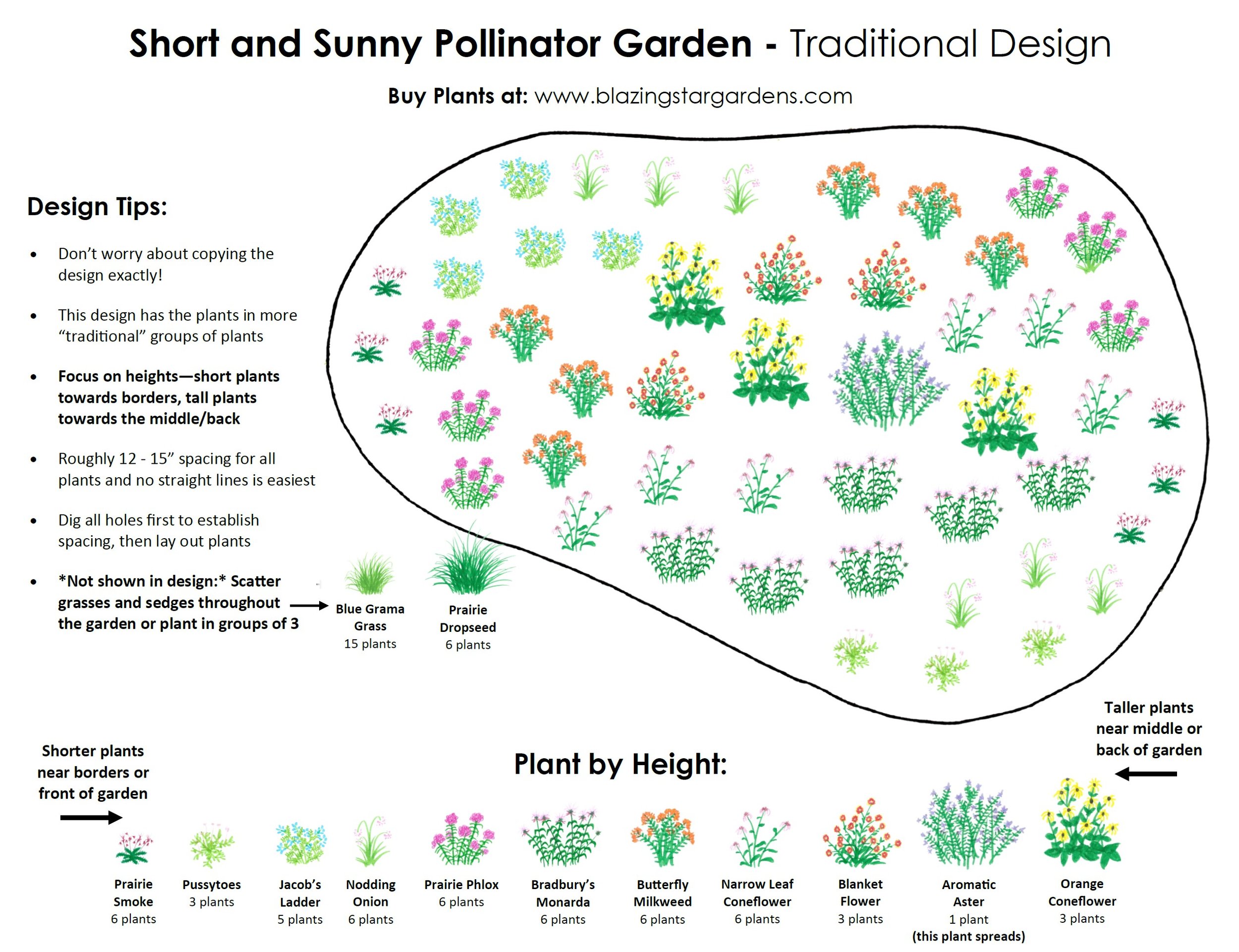 Short and Sunny Pollinator Garden Design Traditional.jpg
