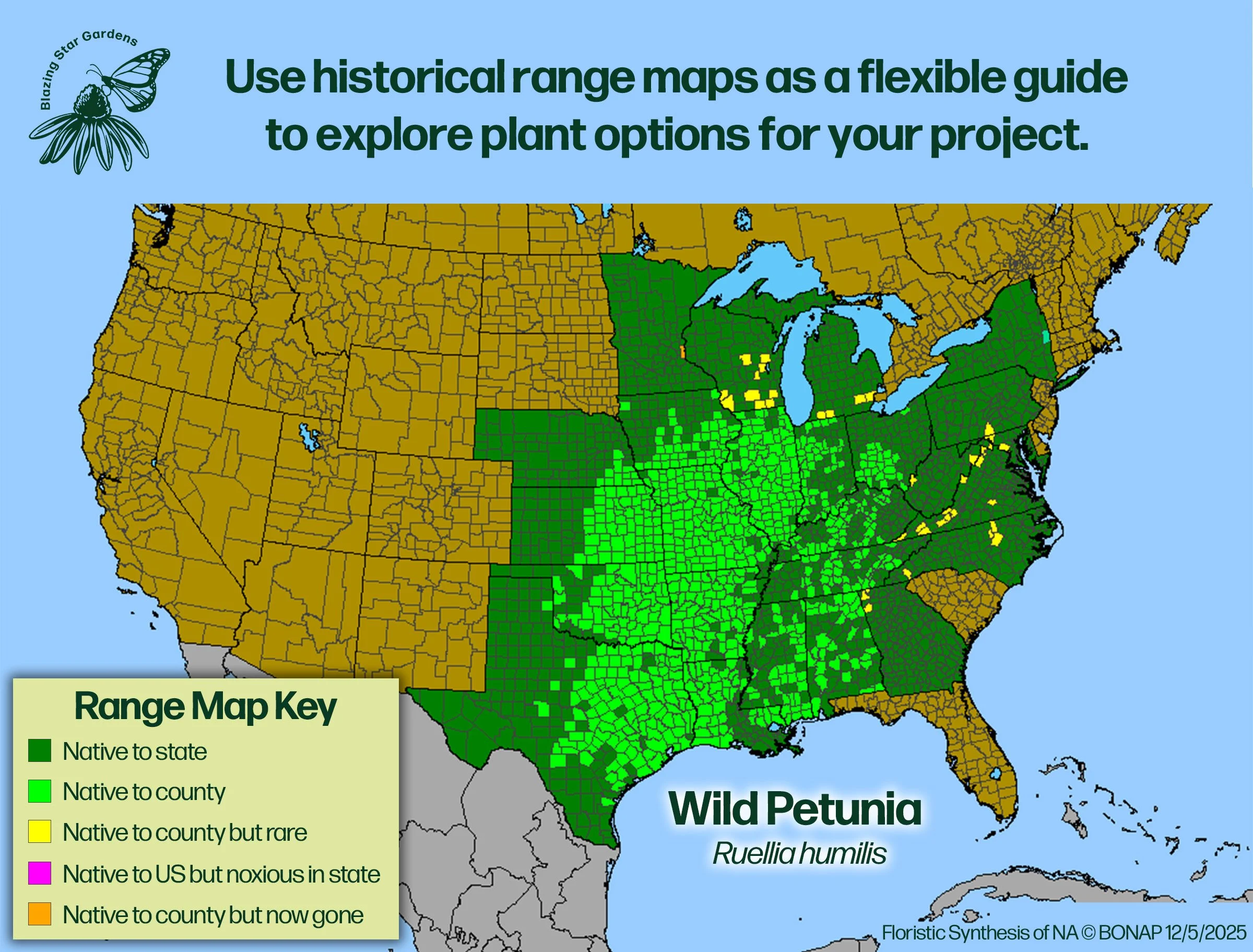 Native-range-map-for-Wild-Petunia-Ruellia-humilis-Native-plant-wild-flower-nursery.jpg
