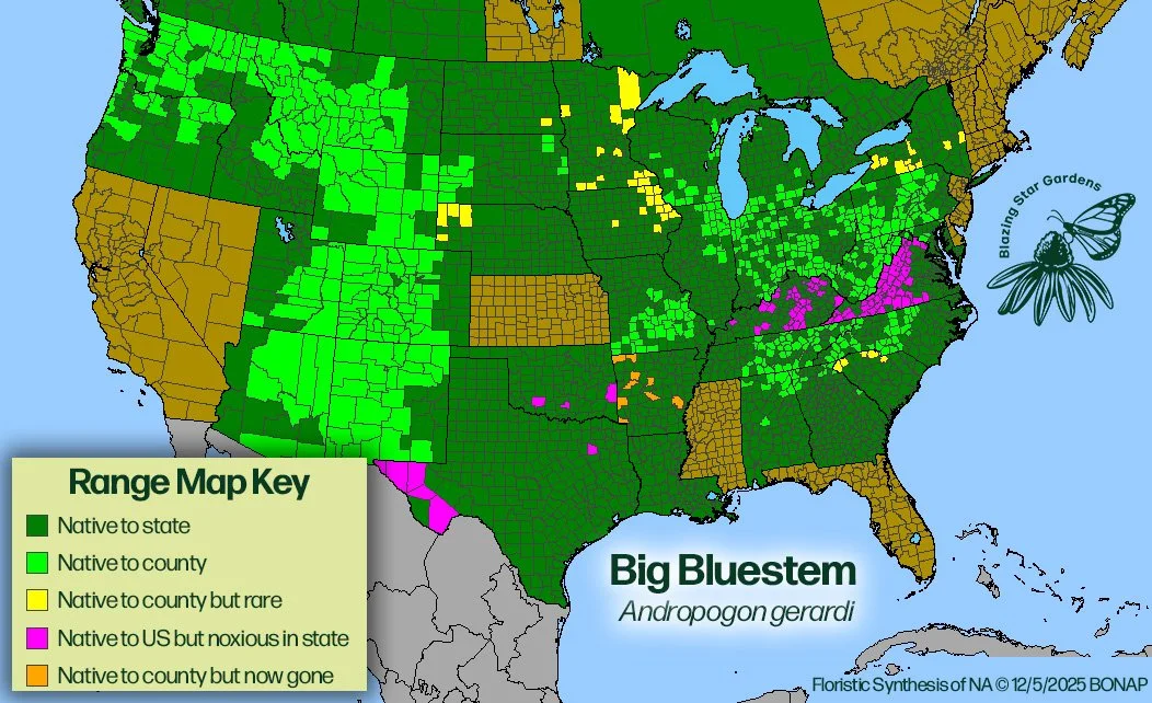 Native-range-map-for-Big-Bluestem-Andropogon-gerardi-Native-plant-wild-flower-nursery.jpg