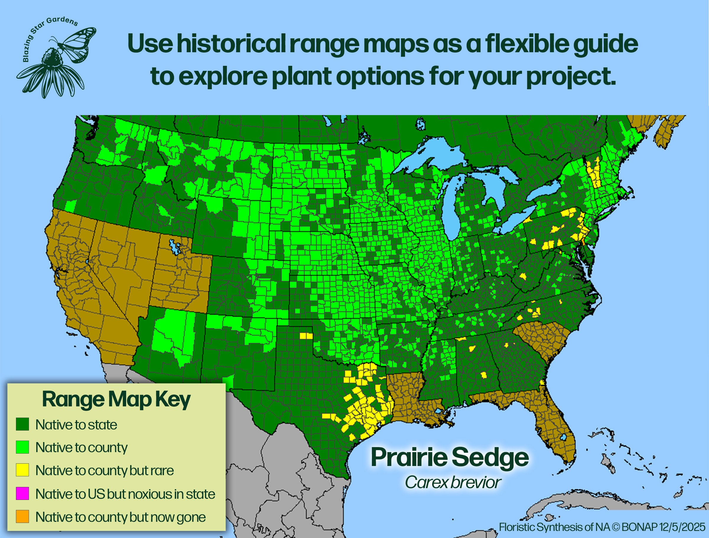 Native-range-map-for-Prairie-Sedge-Carex-brevior-Native-plant-wild-flower-nursery.jpg