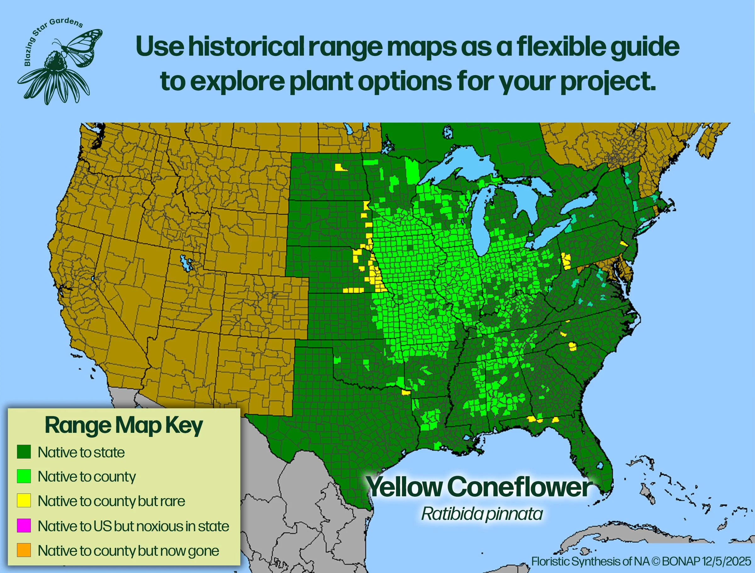 Native-range-map-for-Yellow-Coneflower-Ratibida-pinnata-Native-plant-wild-flower-nursery.jpg