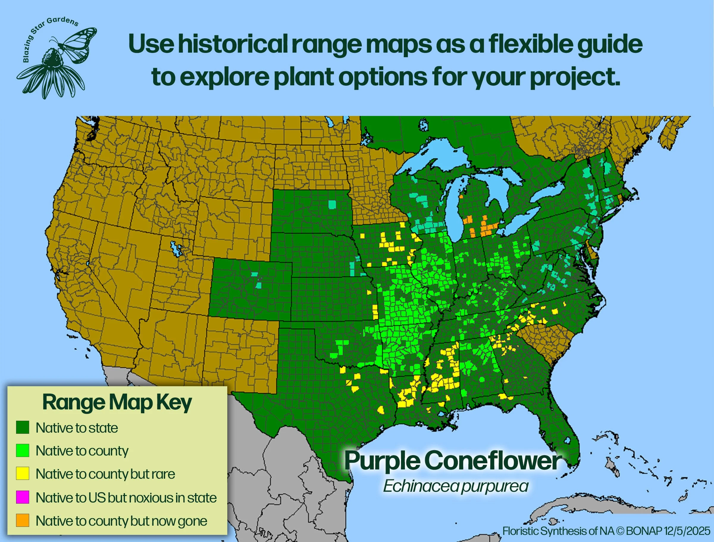 Native-range-map-for-Purple-Coneflower-Echinacea-purpurea-Native-plant-wild-flower-nursery.jpg