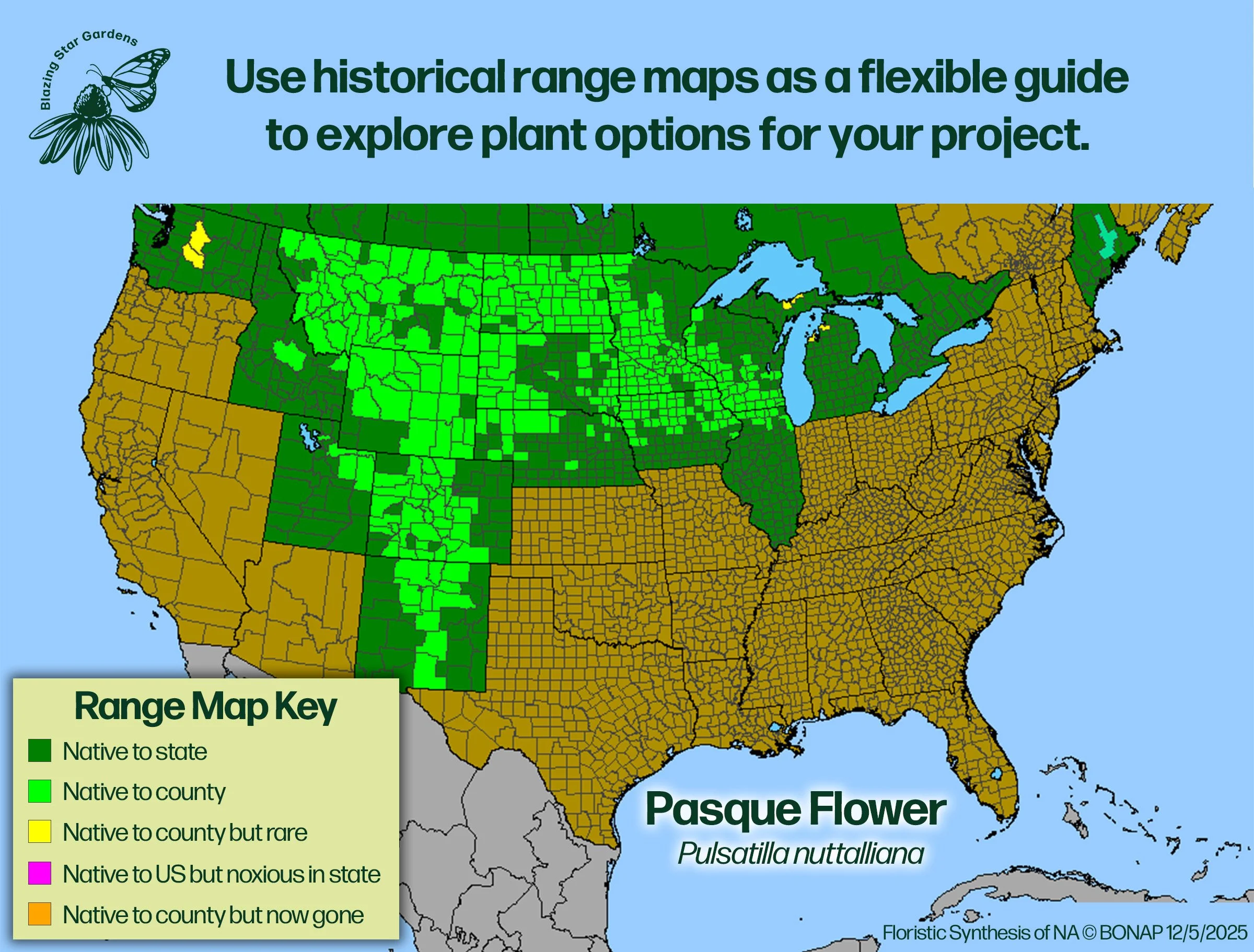 Native-range-map-for-Pasque-Flower-Pulsatilla-nuttalliana-Native-plant-wild-flower-nursery.jpg