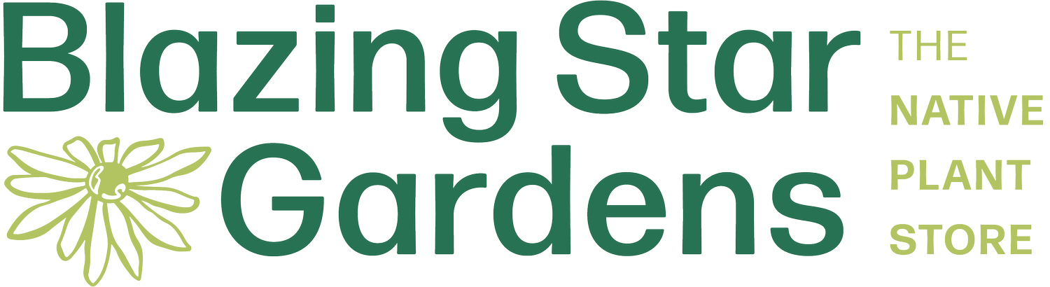Blazing Star Gardens