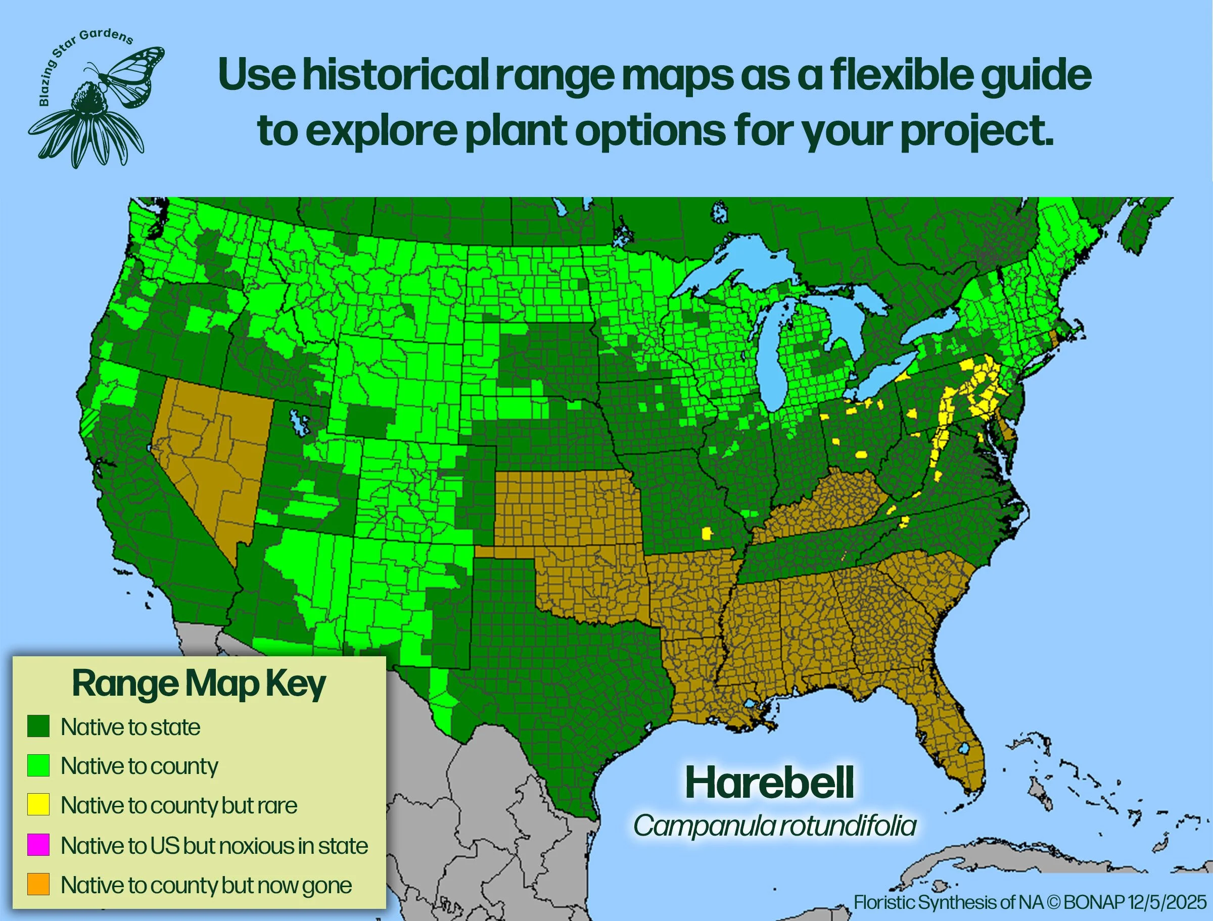 Native-range-map-for-Harebell-Campanula-rotundifolia-Native-plant-wild-flower-nursery.jpg