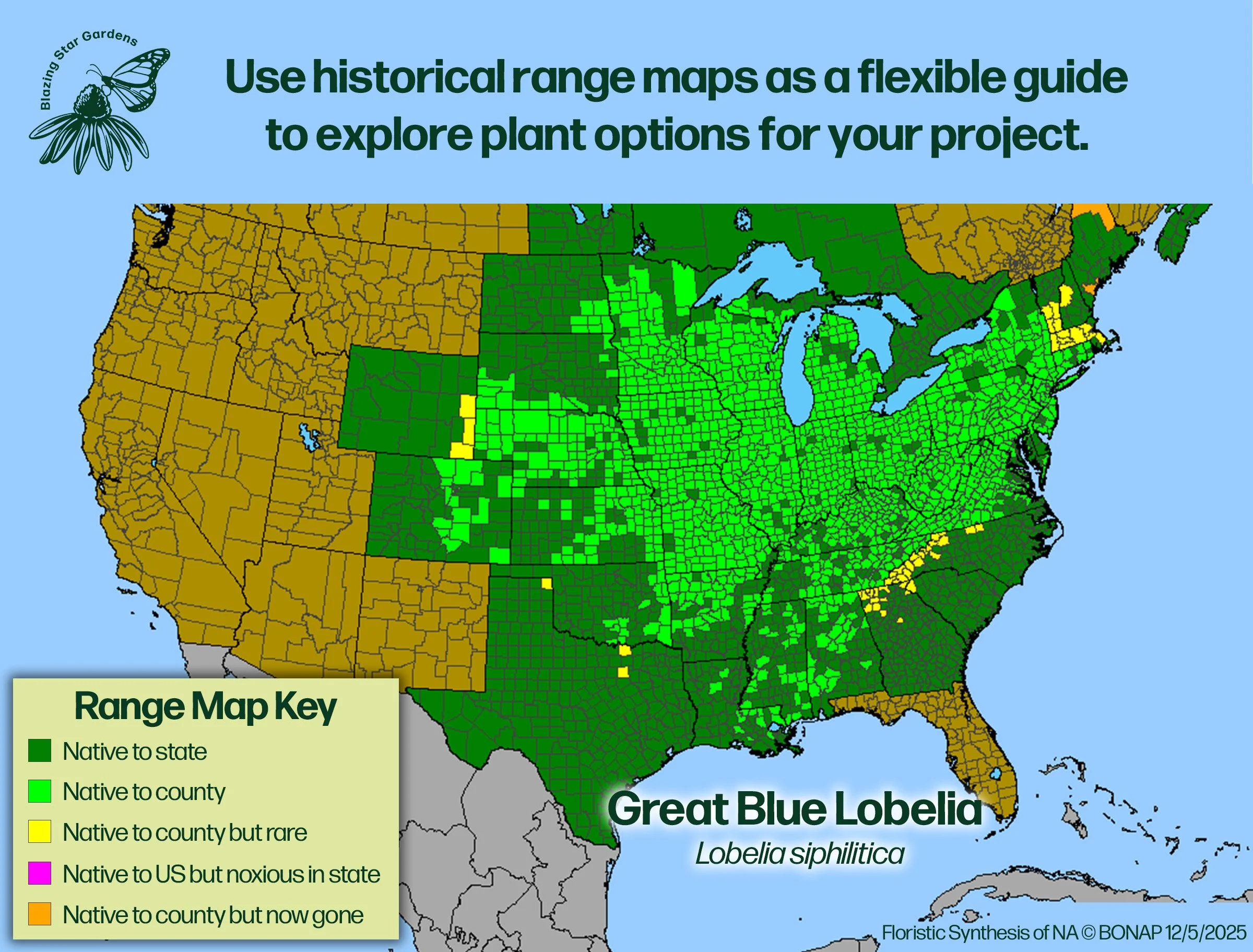 Native-range-map-Great-Blue-Lobelia-Lobelia-siphilitica-Native-plant.jpg