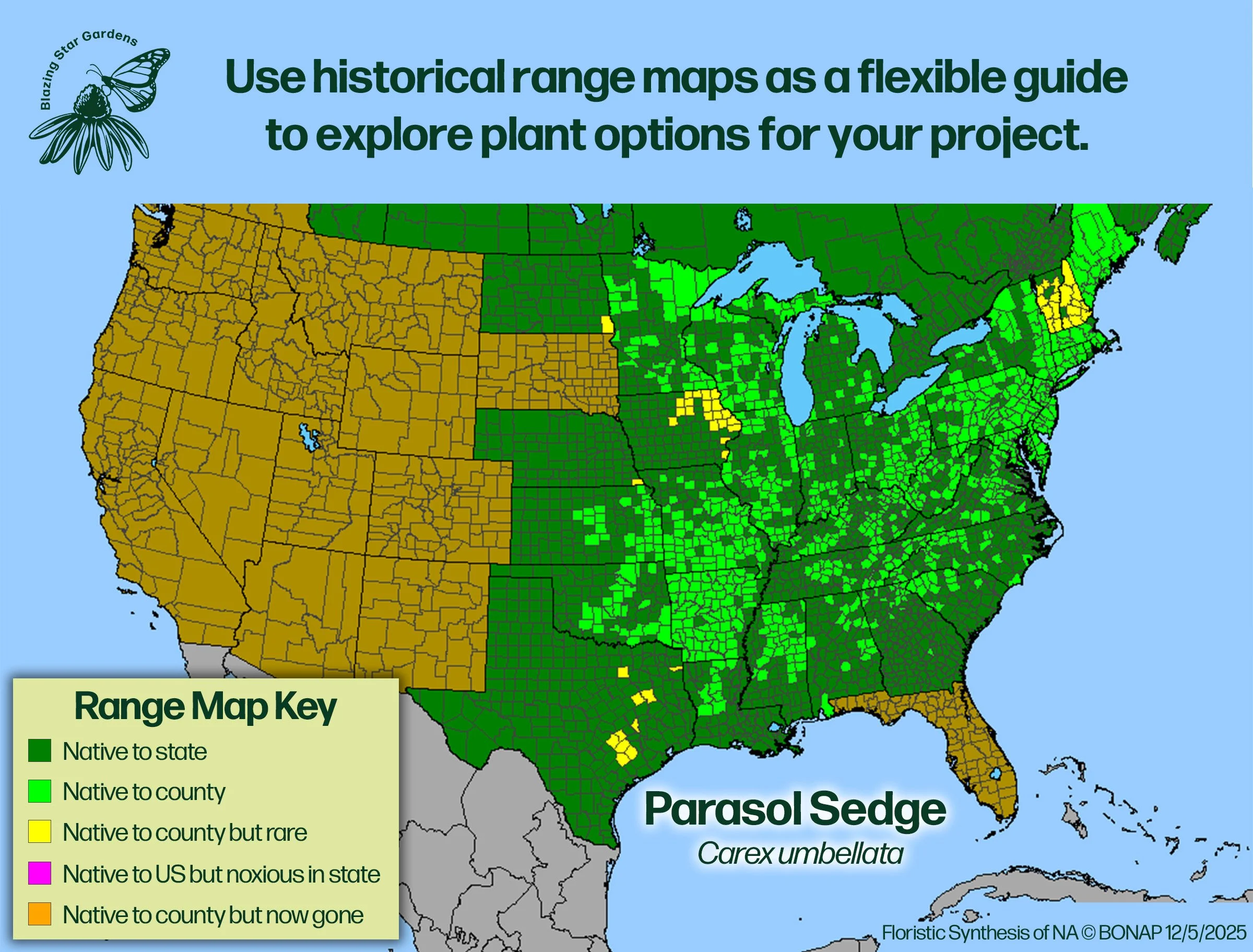 Native-range-map-for-Parasol-Sedge-Carex-umbellata-Native-plant-wild-flower-nursery.jpg