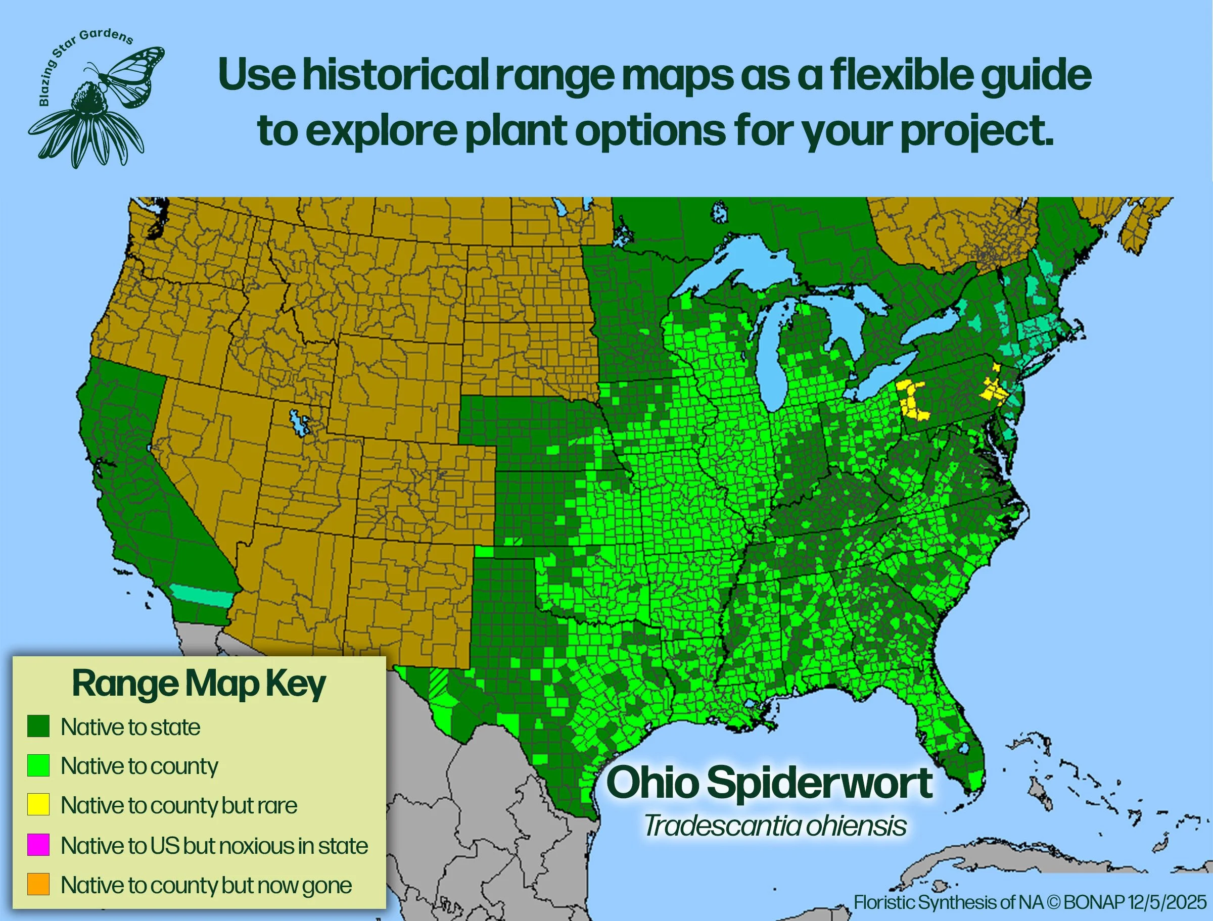 Native-range-map-for-Ohio-Spiderwort-Tradescantia-ohiensis-Native-plant-wild-flower-nursery.jpg