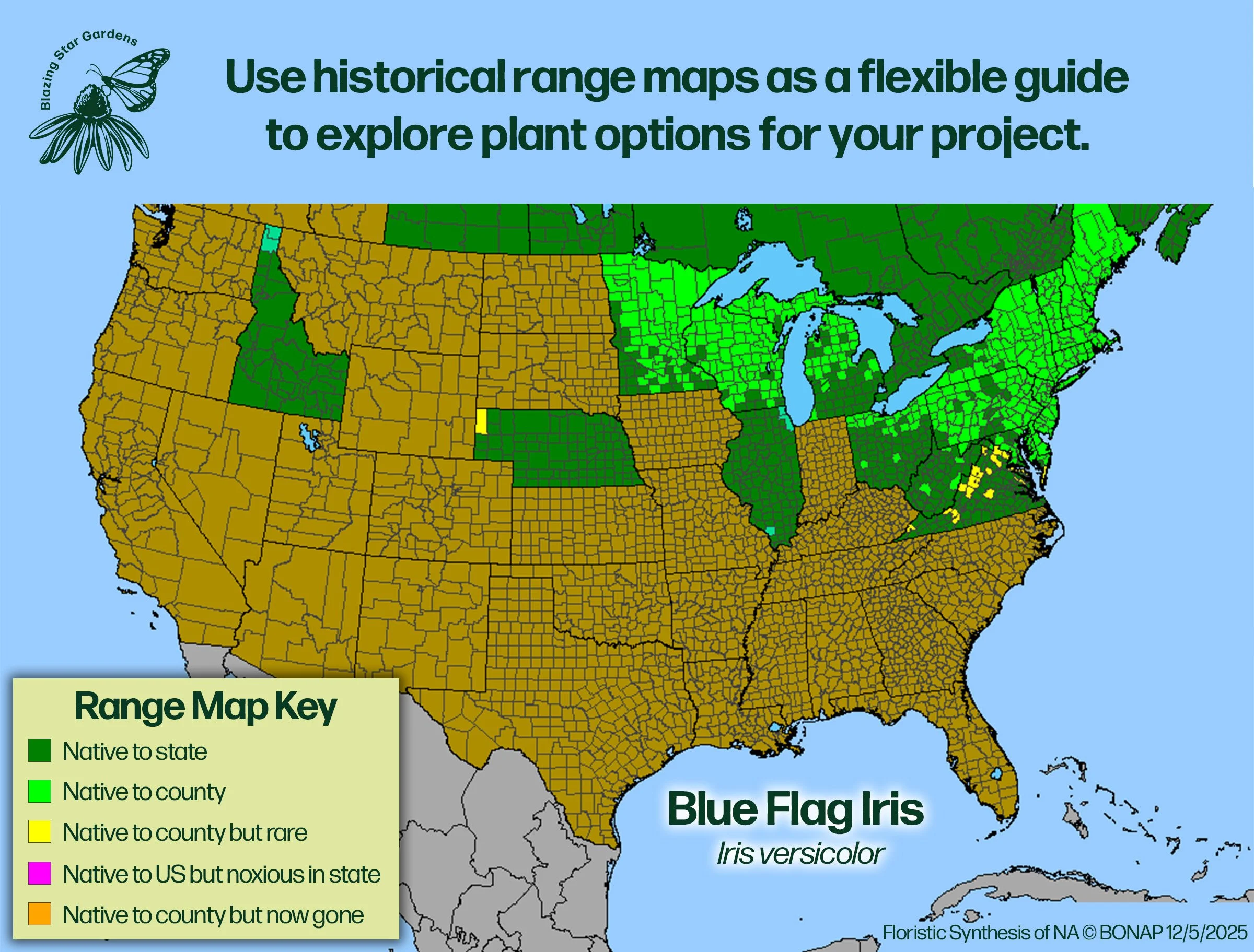 Native range map showing the distribution of Blue Flag Iris (Iris versicolor) across North America.