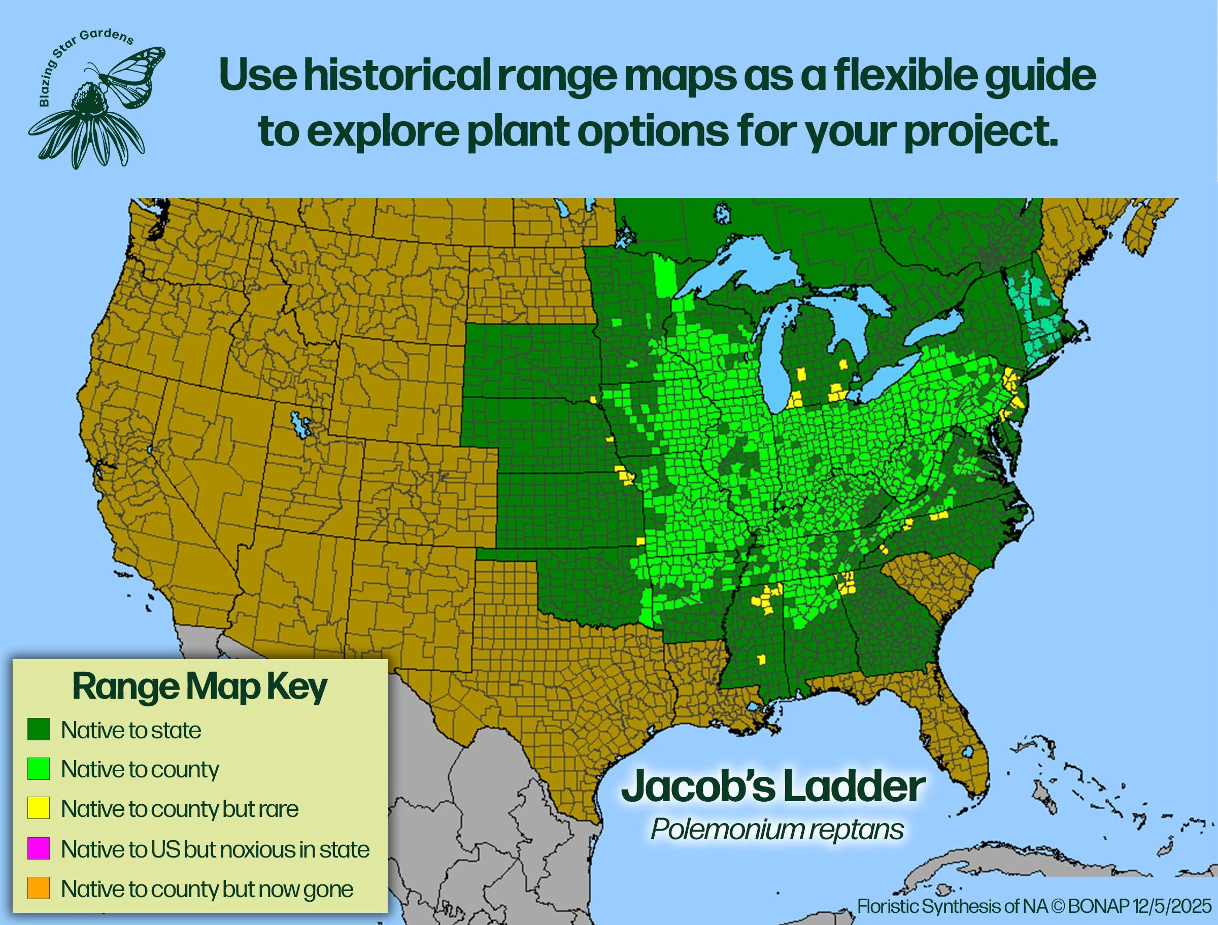 Native-range-map-for-Jacob's-Ladder-Polemonium-reptans-Native-plant-wild-flower-nursery.jpg