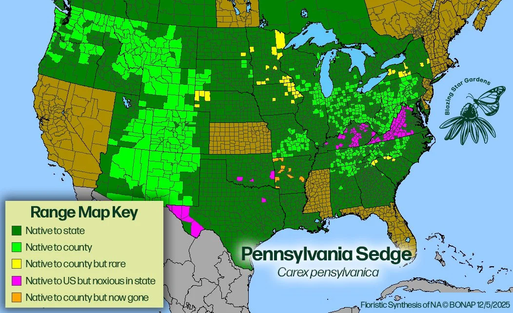 Native-range-map-for-Pennsylvania-Sedge-Carex-pensylvanica-Native-plant-wild-flower-nursery.jpg