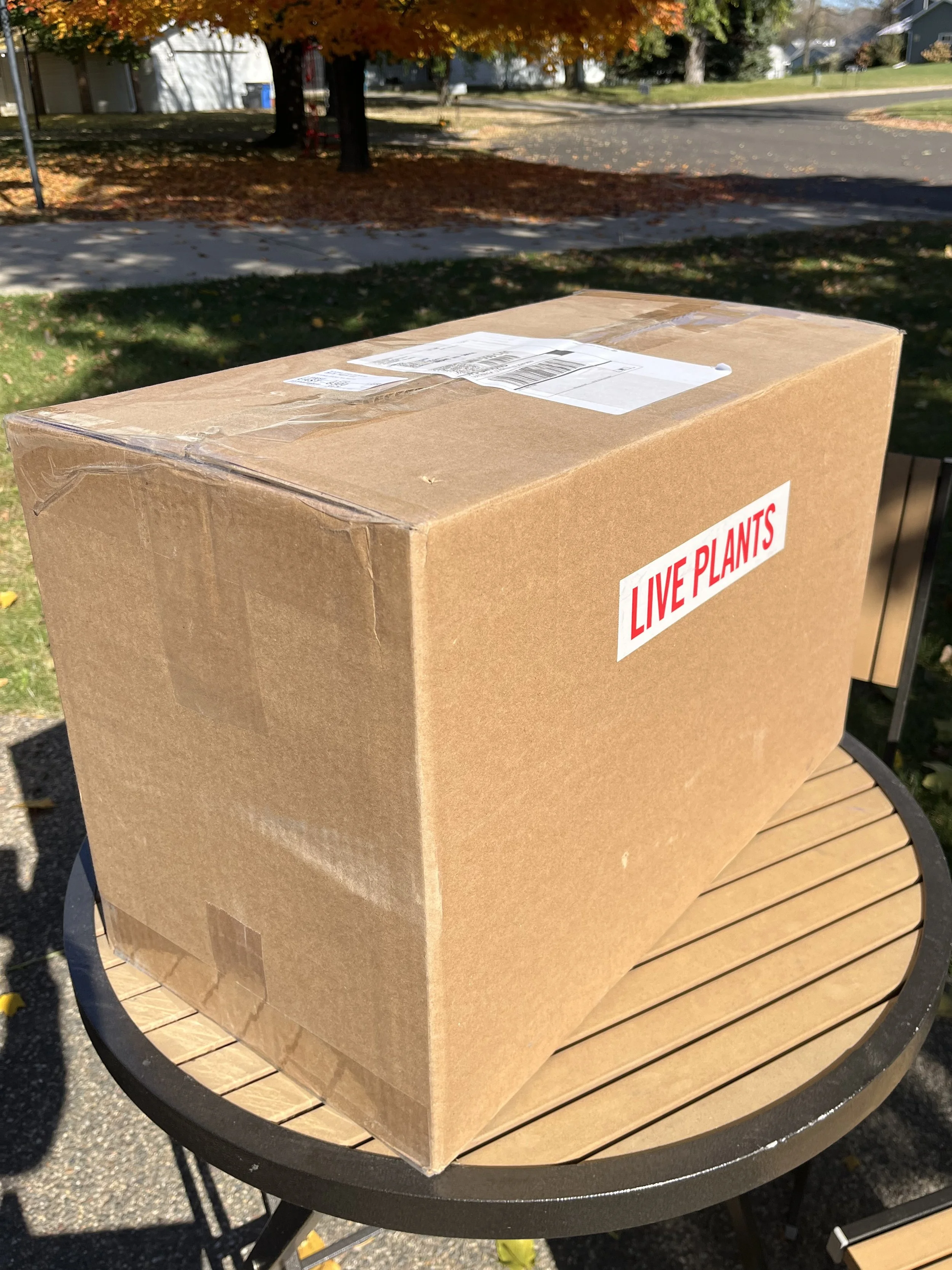 Cardboard boxes of native plant plugs wrapped in netting that were shipped form a native plant nursery in Minnesota