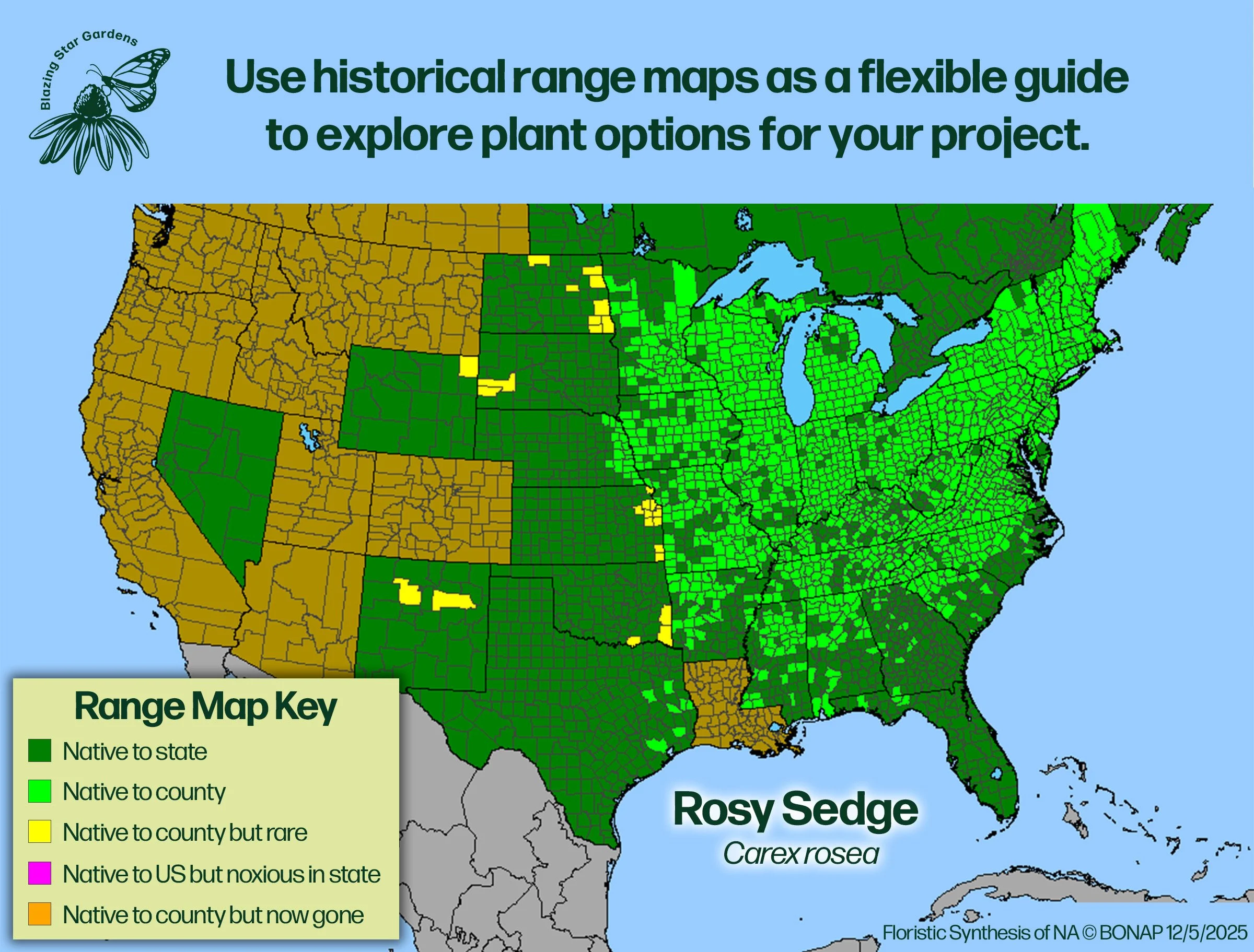 Native-range-map-for-Rosy-Sedge-Carex-rosea-Native-plant-wild-flower-nursery.jpg