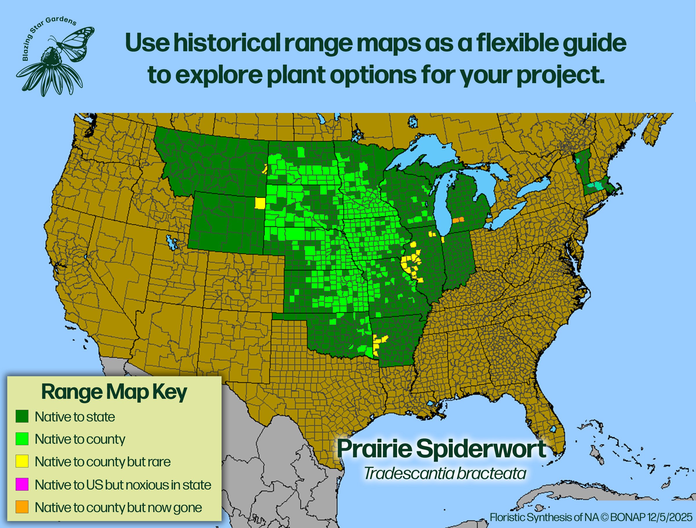 Native-range-map-Prairie-Spiderwort-Tradescantia-bracteata-Native-plant.jpg