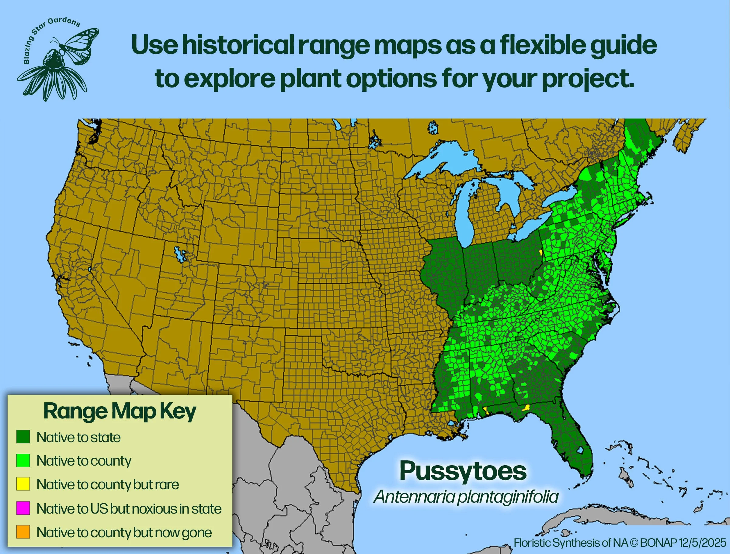 Native-range-map-for-Pussytoes-Antennaria-plantaginifolia-Native-plant-wild-flower-nursery.jpg