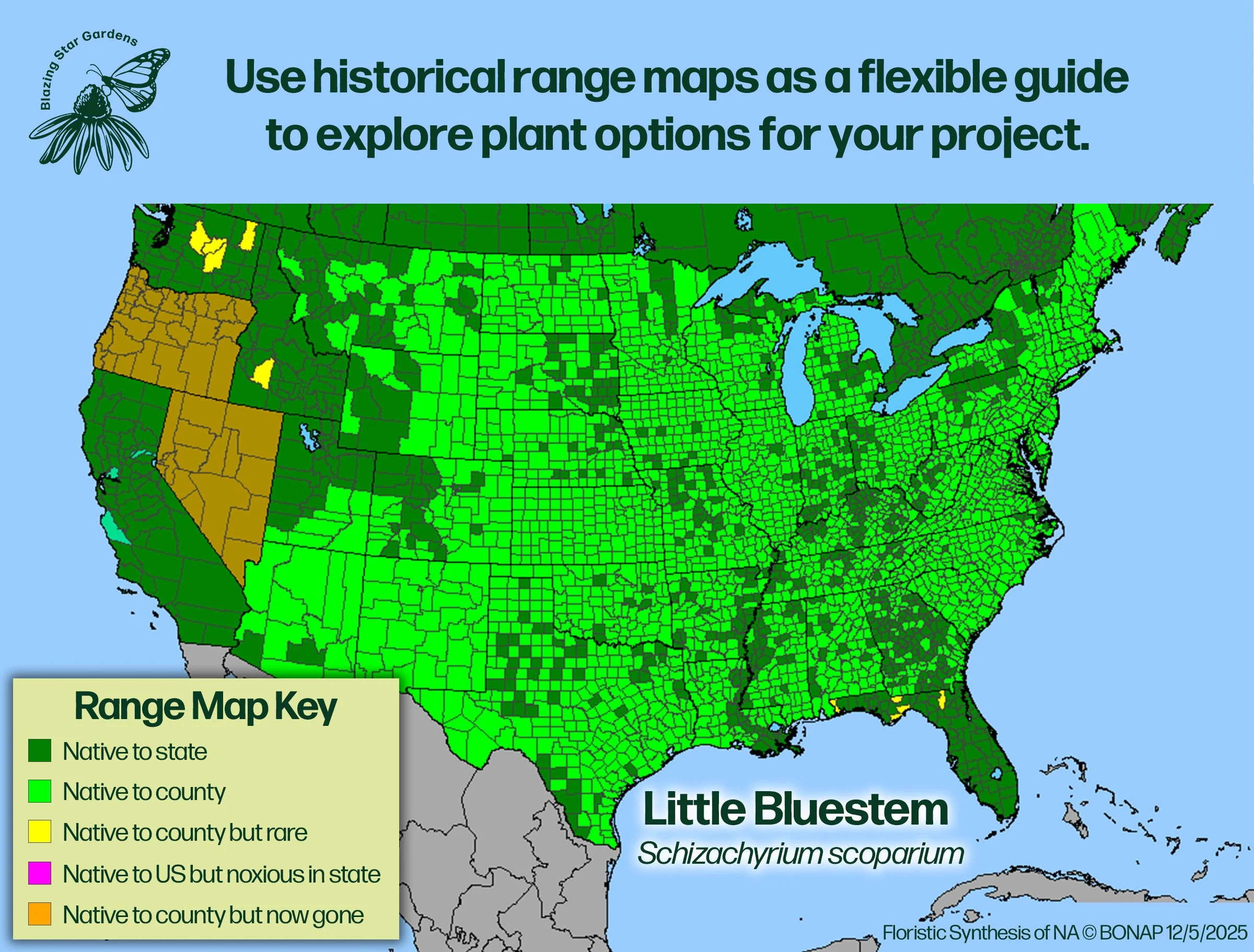 Native-range-map-Little-Bluestem-Schizachyrium-scoparium-Native-plant.jpg