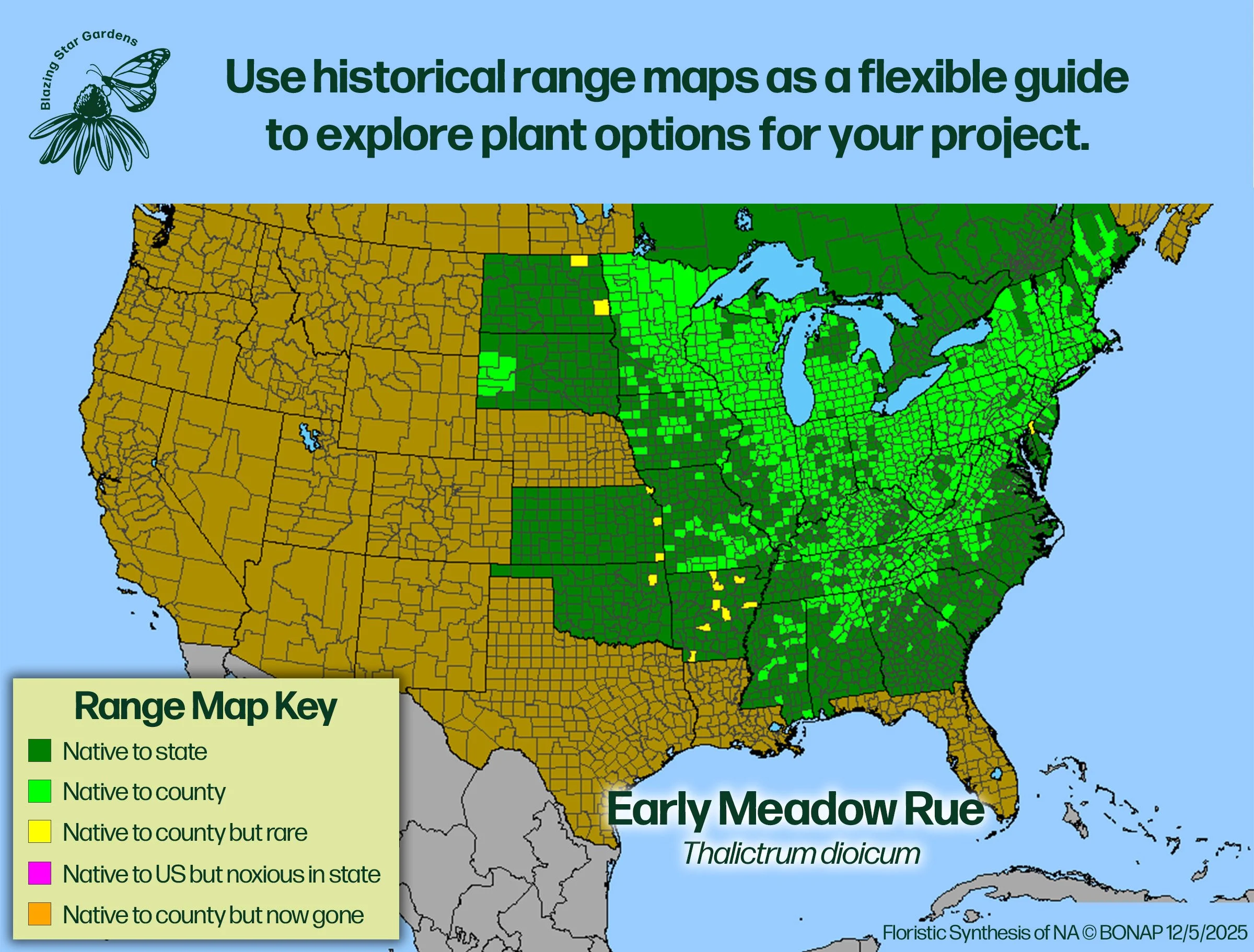Native-range-map-for-Early-Meadow-Rue-Thalictrum-dioicum-Native-plant-wild-flower-nursery.jpg