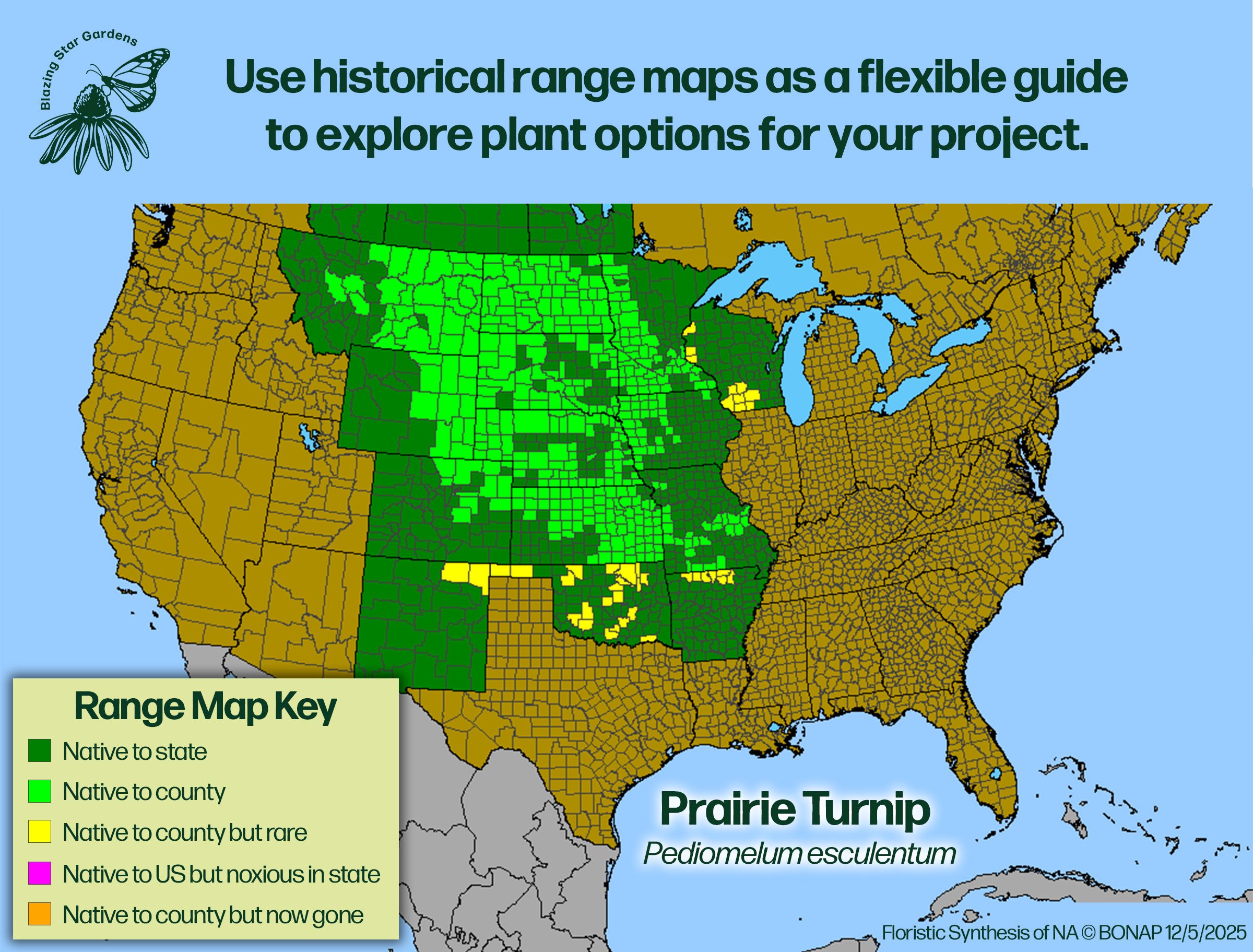 Native-range-map-for-Prairie-Turnip-Pediomelum-esculentum-Native-plant-wild-flower-nursery.jpg (Copy)