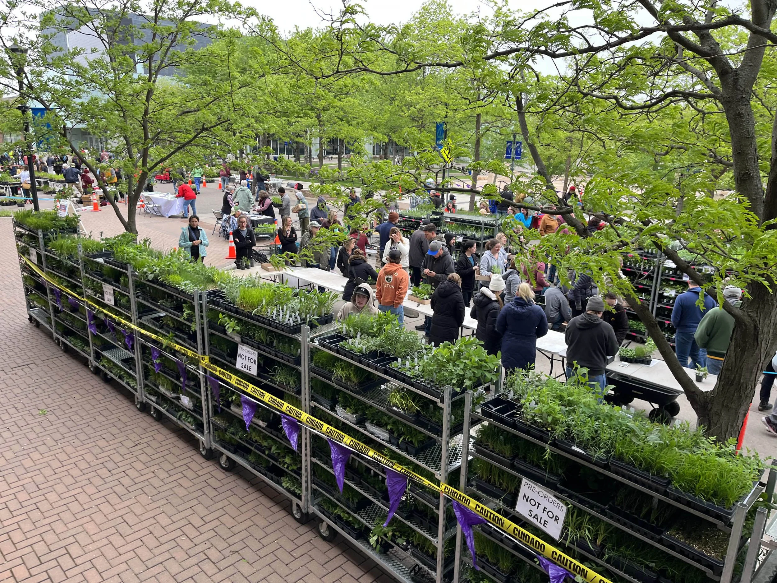 Metal racks of native plant pre-orders at a Twin Cities, Minnesota plant sale in a city street with people buying plants