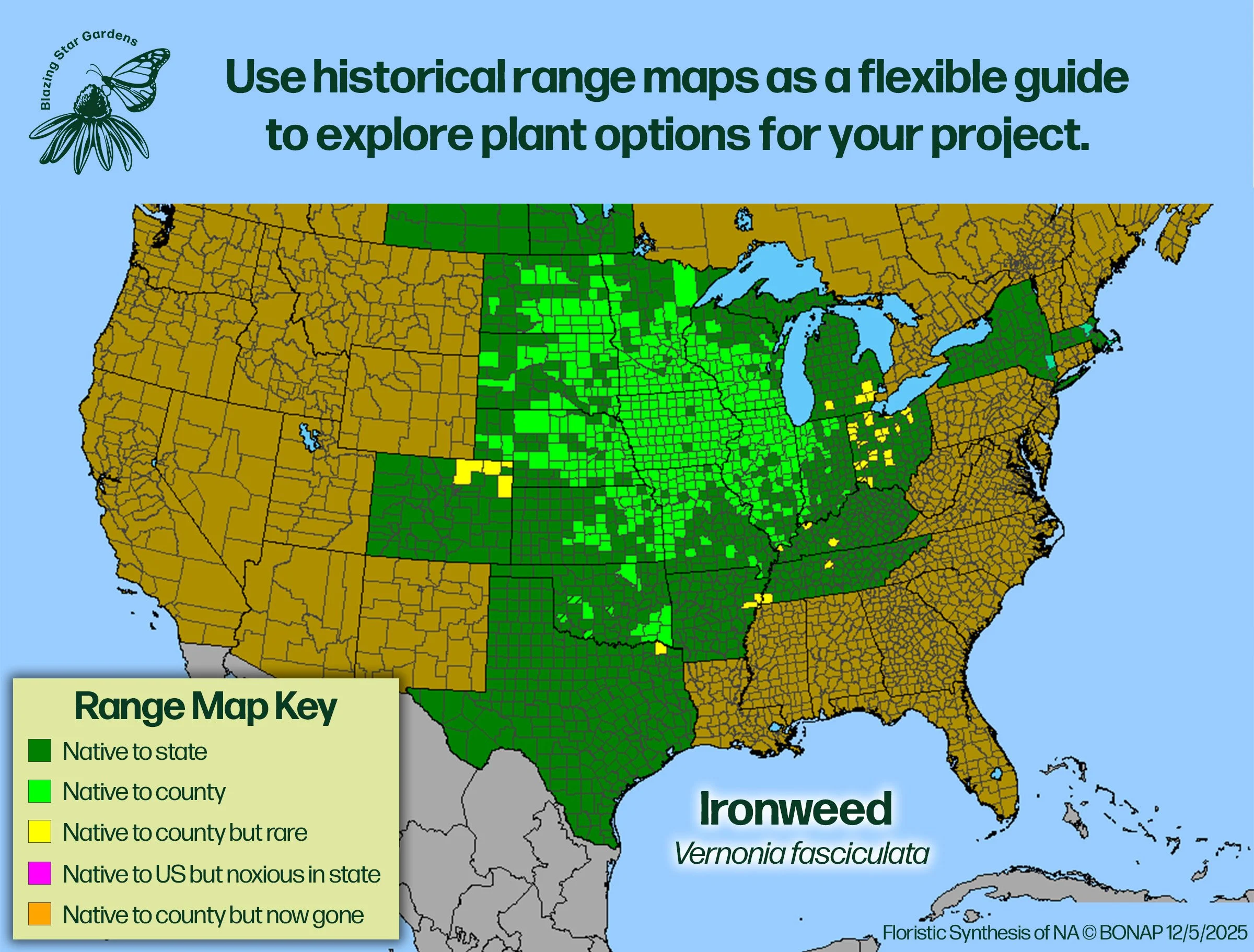 Native-range-map-for-Ironweed-Vernonia-fasciculata-Native-plant-wild-flower-nursery.jpg