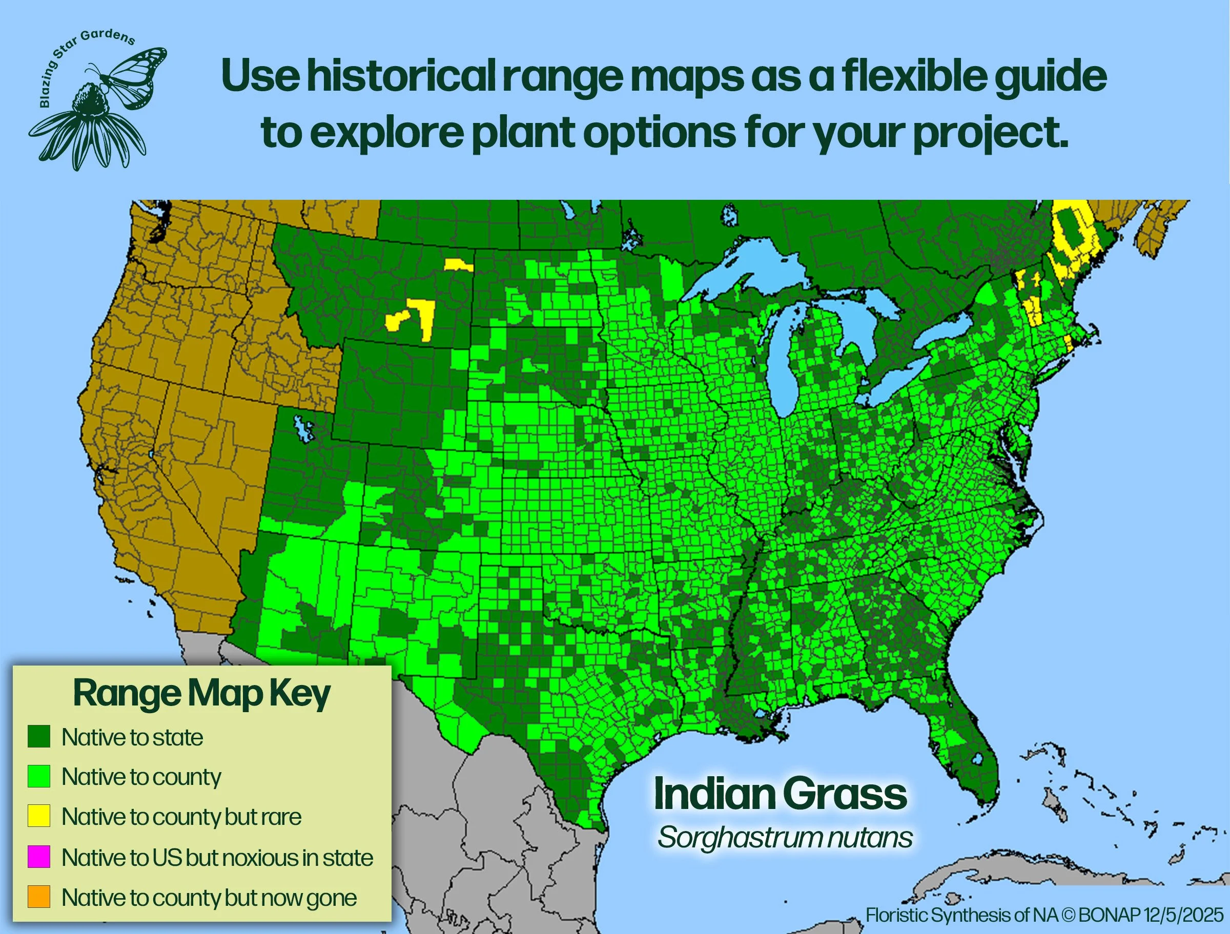 Native-range-map-for-Indian-Grass-Sorghastrum-nutans-Native-plant-wild-flower-nursery.jpg