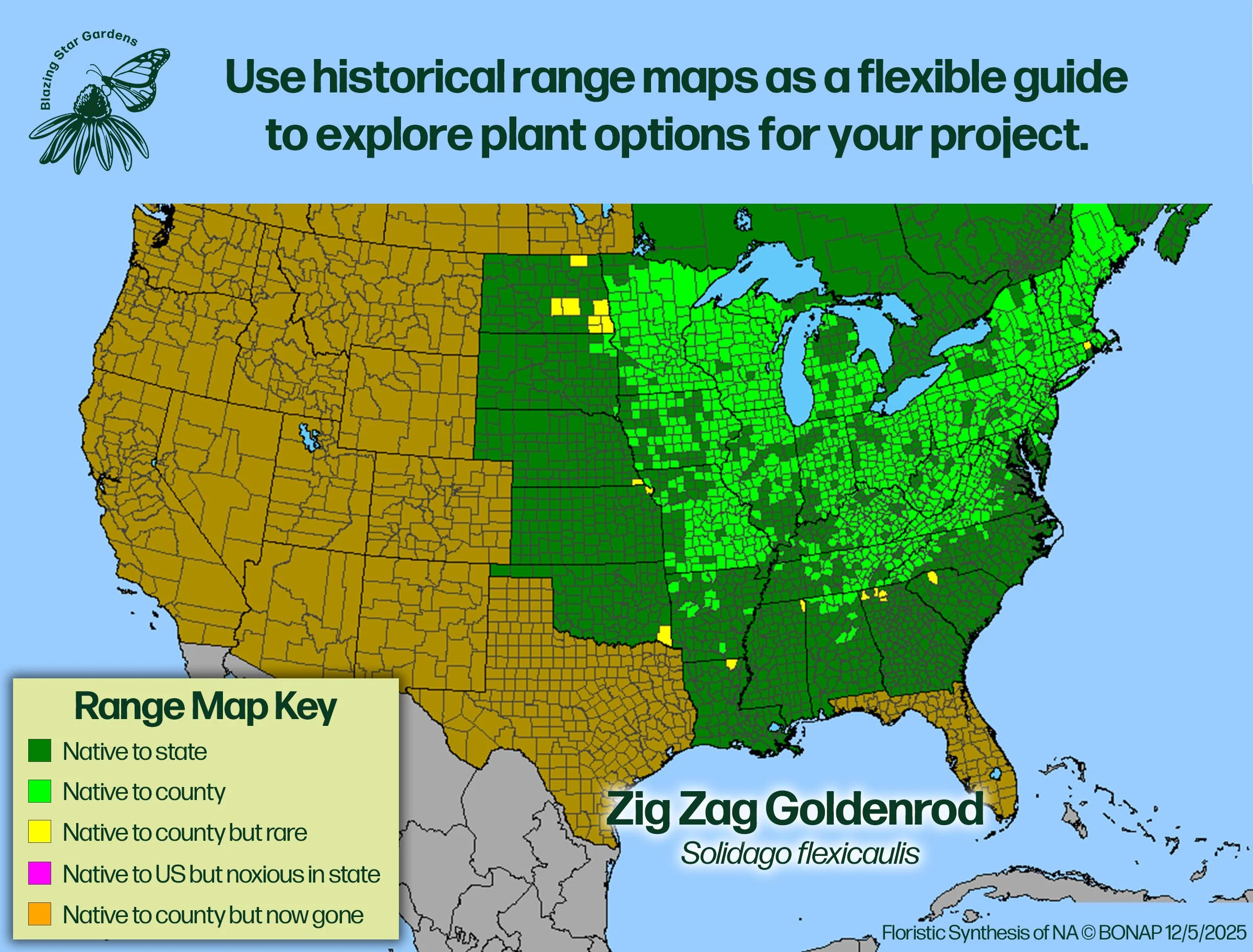 Native-range-map-Zig-Zag-Goldenrod-Solidago-flexicaulis-Native-plant.jpg