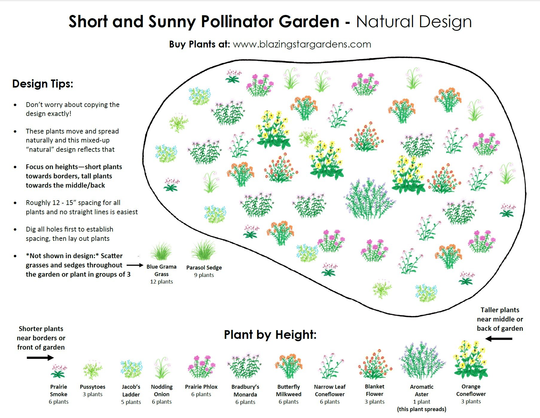 Short and Sunny Pollinator Garden Design Natural 2026.jpg