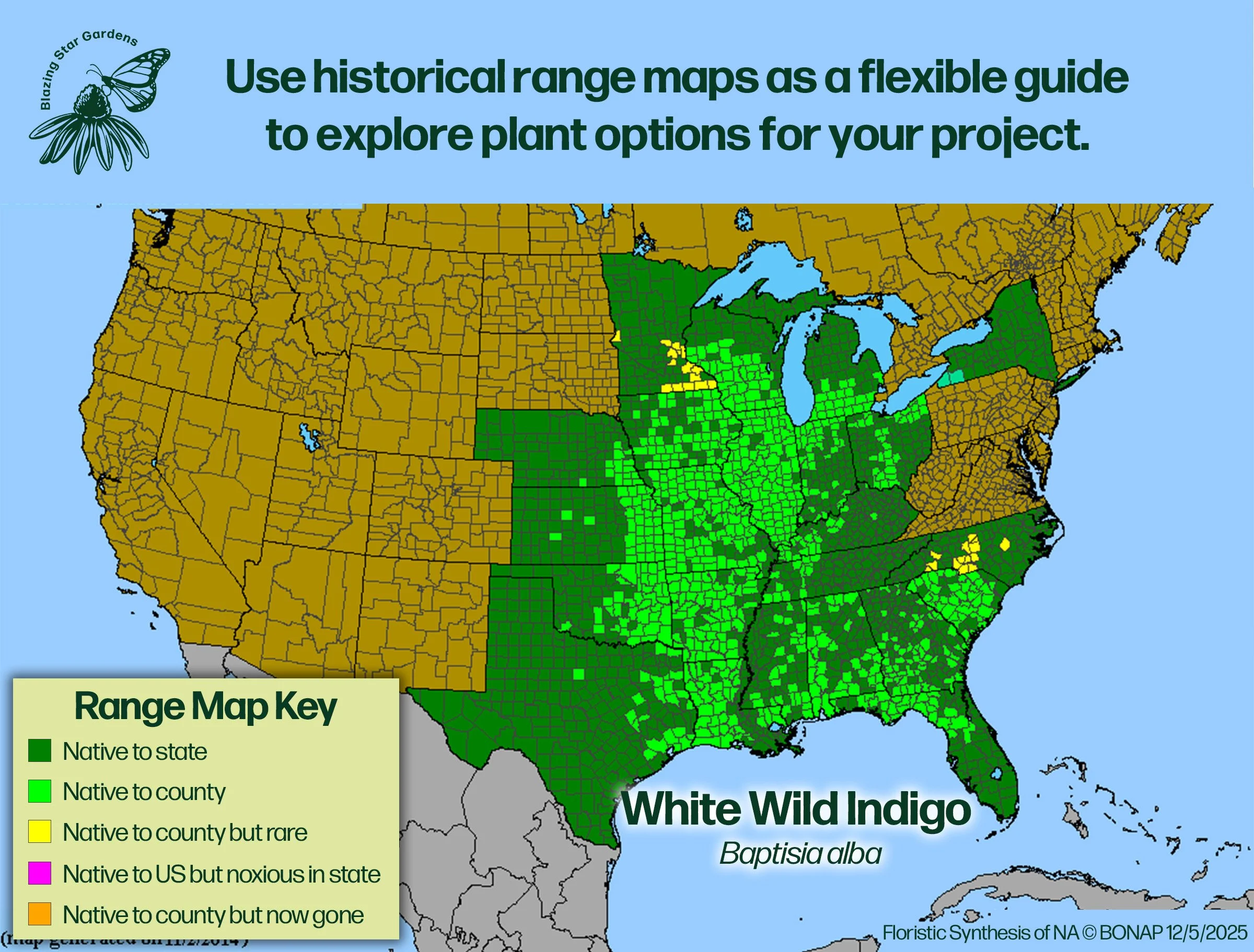 Native-range-map-for-White-Wild-Indigo-Baptisia-alba-Native-plant-wild-flower-nursery.jpg