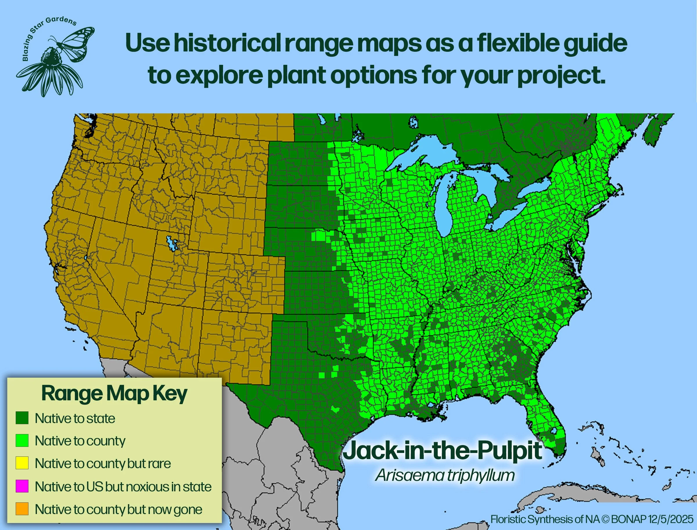 Native-range-map-Jack-in-the-Pulpit-Arisaema-triphyllum-Native-plant.jpg