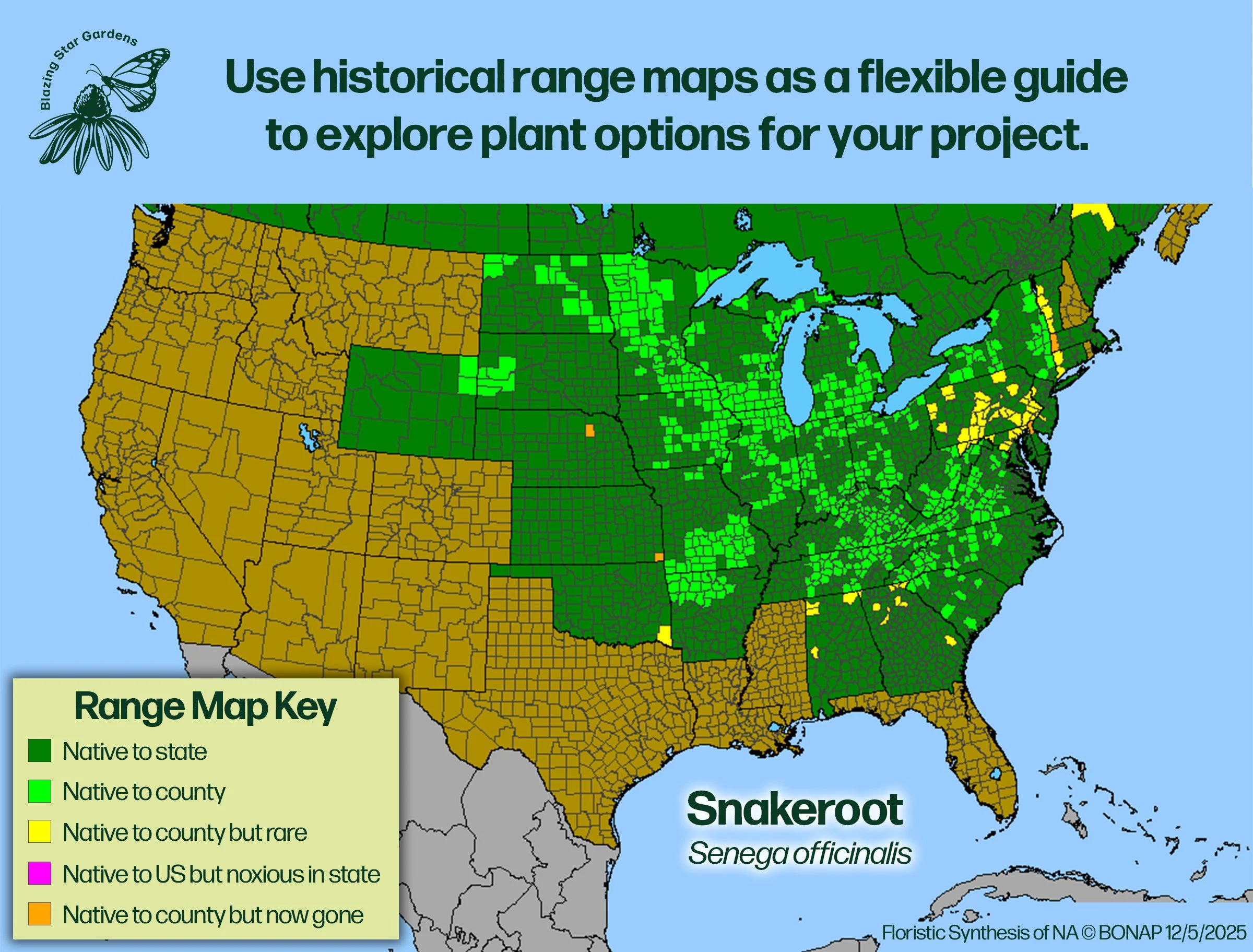 Native-range-map-for-Snakeroot-Senega-officinalis-Native-plant-wild-flower-nursery.jpg (Copy)