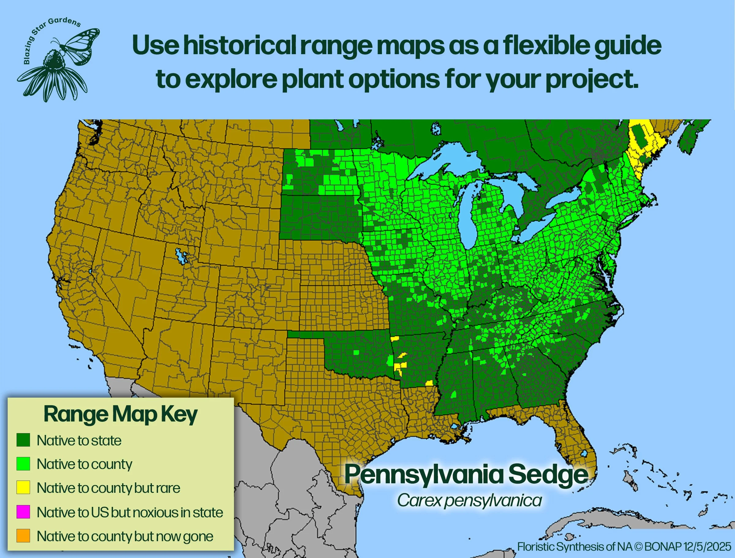 Native-range-map-for-Pennsylvania-Sedge-Carex-pensylvanica-Native-plant-wild-flower-nursery.jpg