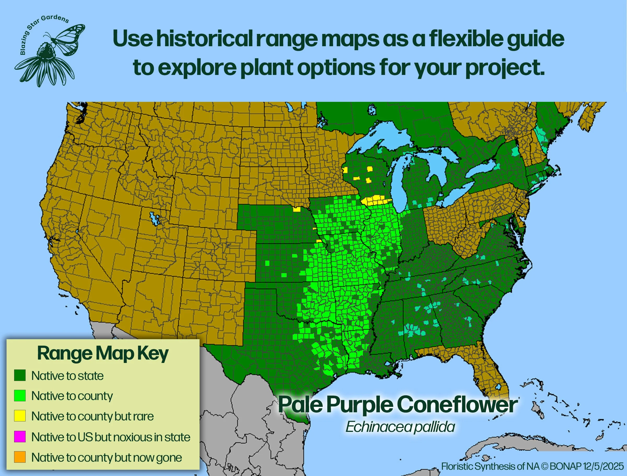 Native-range-map-Pale-Purple-Coneflower-Echinacea-pallida-Native-plant.jpg