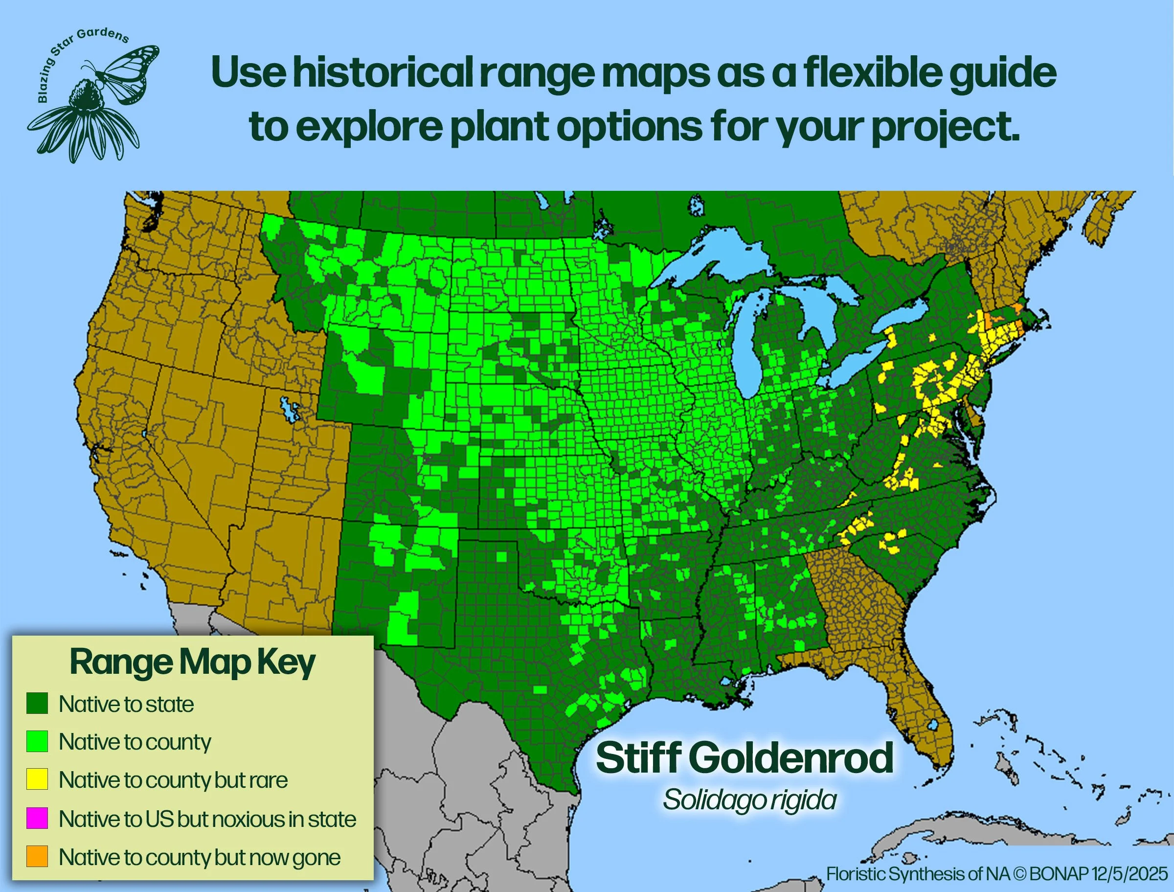 Native-range-map-for-Stiff-Goldenrod-Solidago-rigida-Native-plant-wild-flower-nursery.jpg