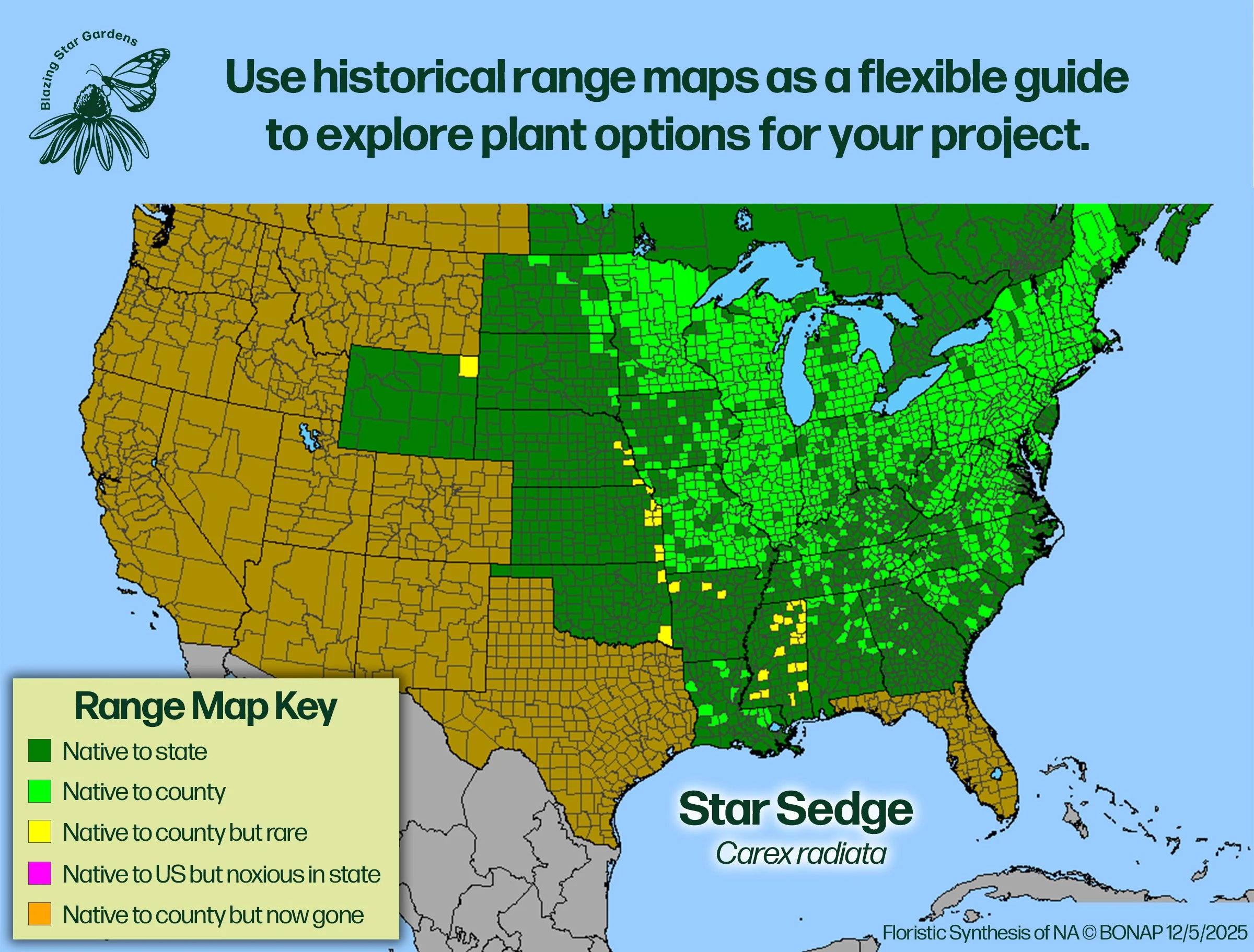 Native-range-map-for-Star-Sedge-Carex-radiata-Native-plant-wild-flower-nursery.jpg