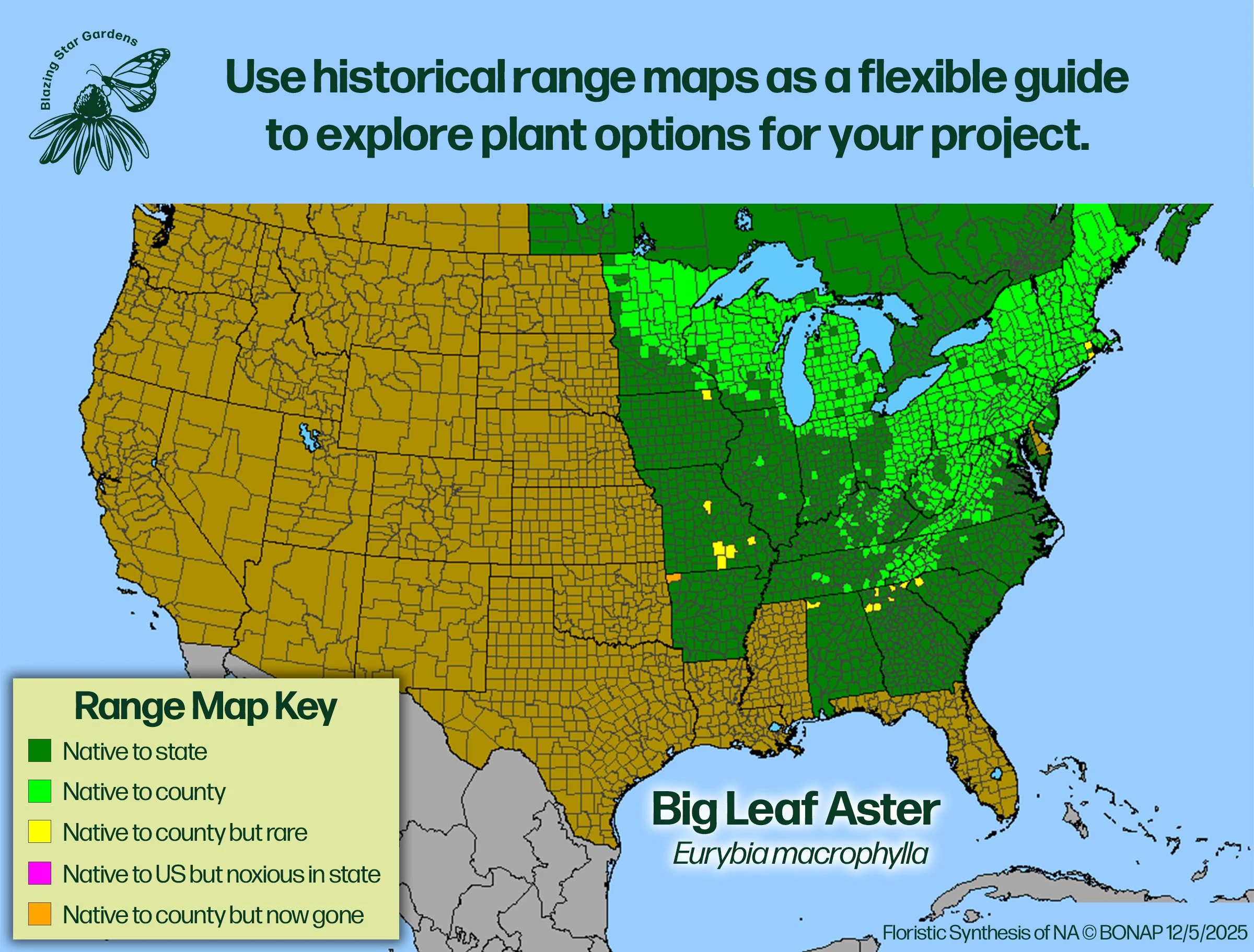 Native-range-map-for-Big-Leaf-Aster-Eurybia-macrophylla-Native-plant-wild-flower-nursery.jpg