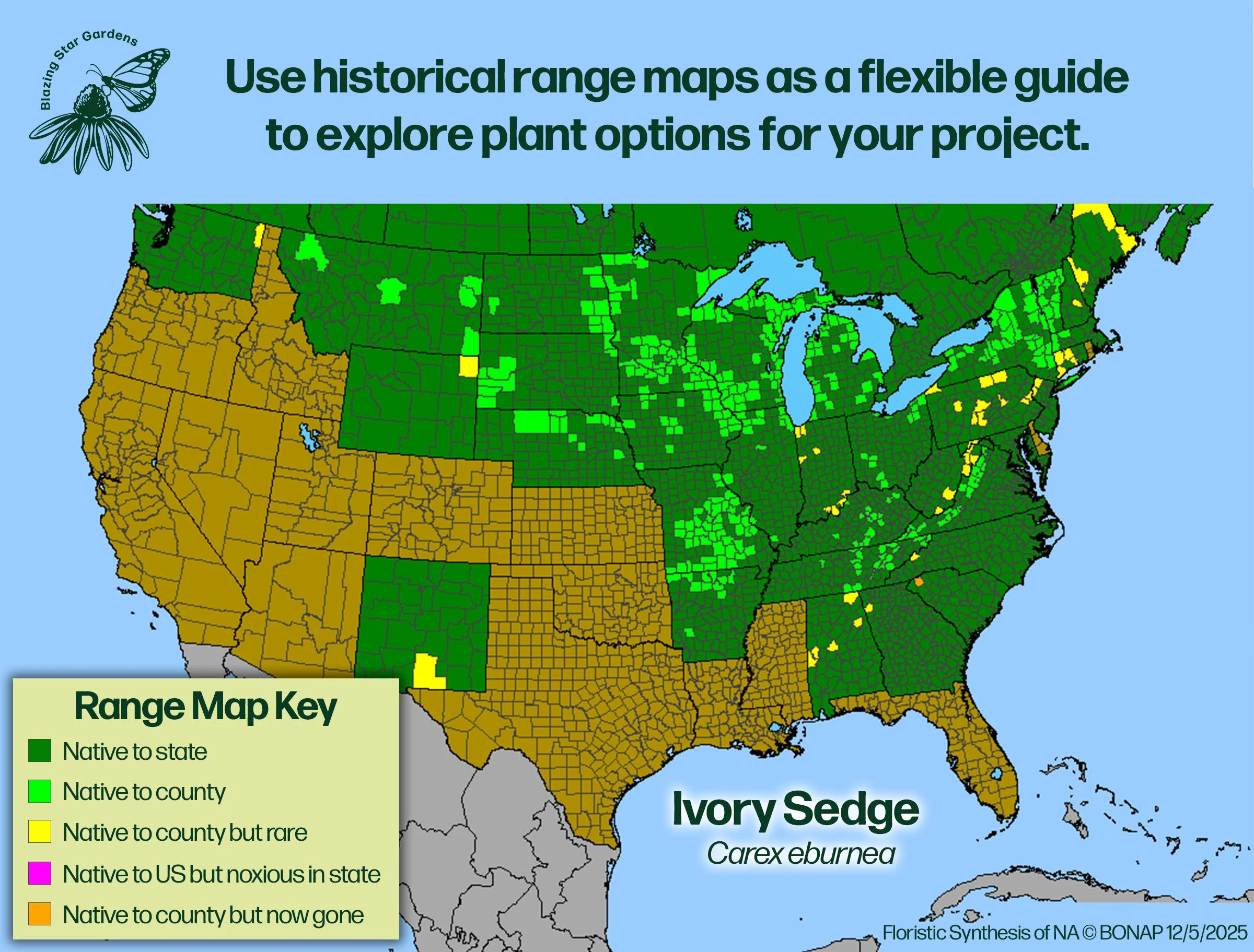 Native-range-map-for-Ivory-Sedge-Carex-eburnea-Native-plant-wild-flower-nursery.jpg
