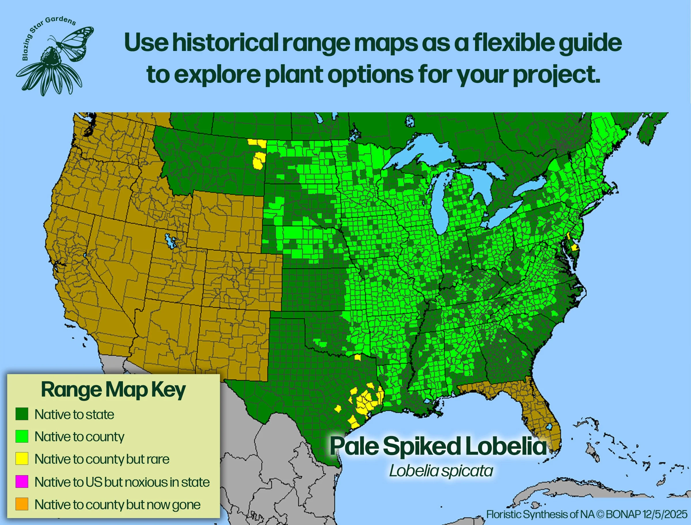 Native-range-map-for-Pale-Spiked-Lobelia-Lobelia-spicata-Native-plant-wild-flower-nursery.jpg