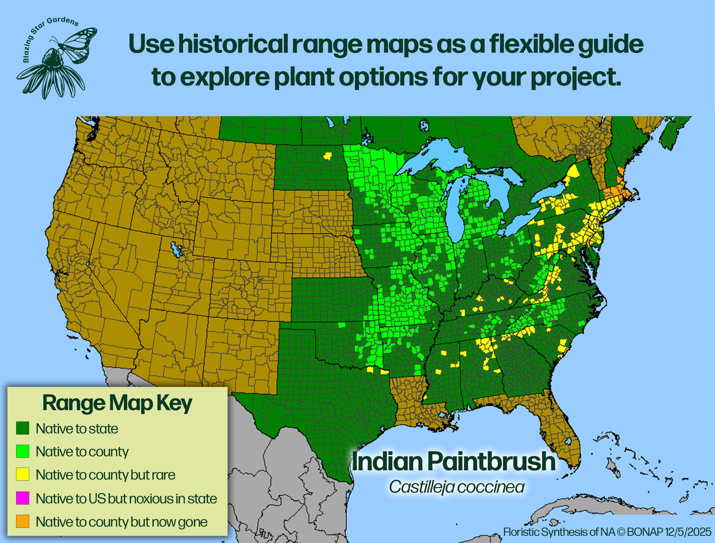 Native-range-map-for-Indian-Paintbrush-Castilleja-coccinea-Native-plant-wild-flower-nursery.jpg
