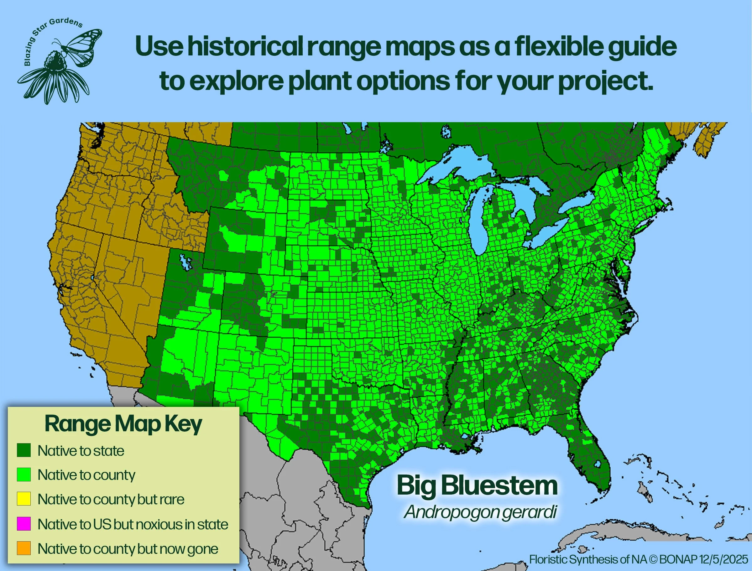 Native-range-map-for-Big-Bluestem-Andropogon-gerardi-Native-plant-wild-flower-nursery.jpg