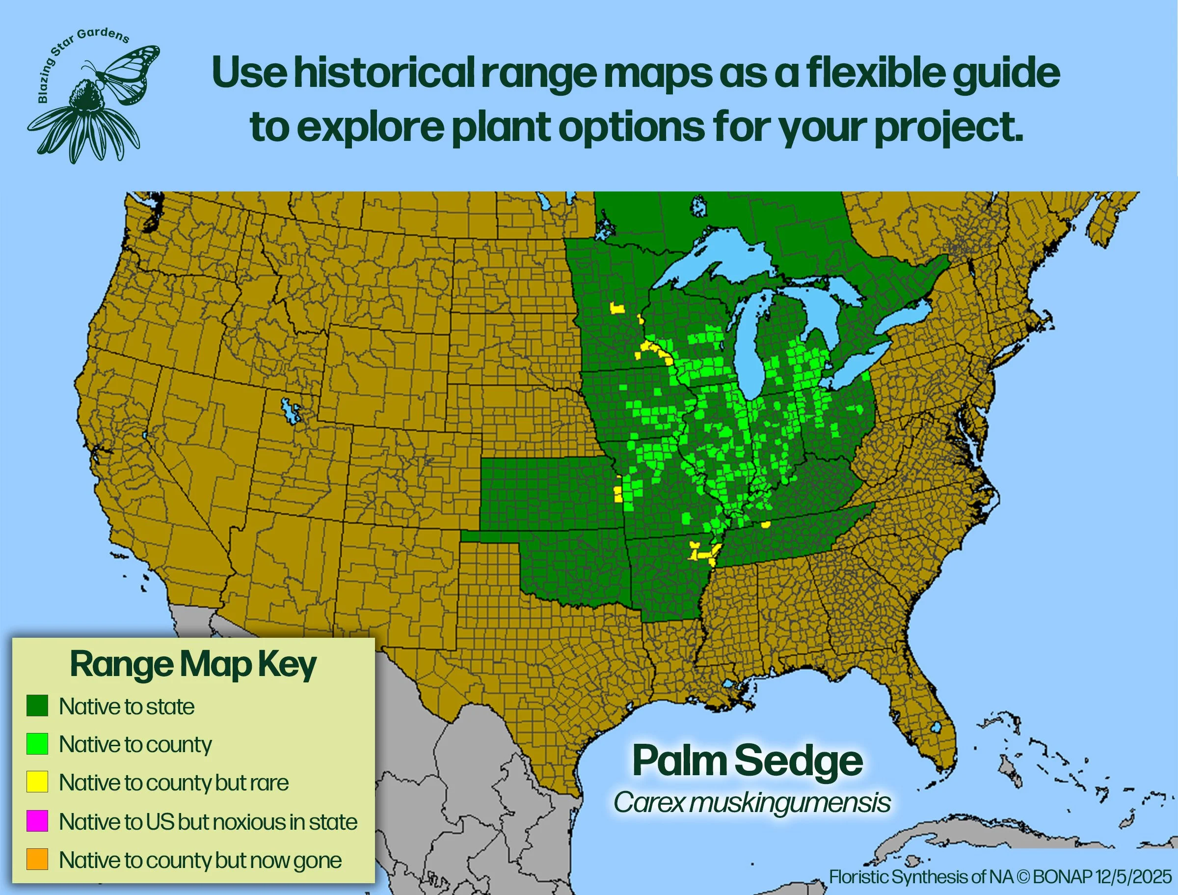 Native-range-map-for-Palm-Sedge-Carex-muskingumensis-Native-plant-wild-flower-nursery.jpg