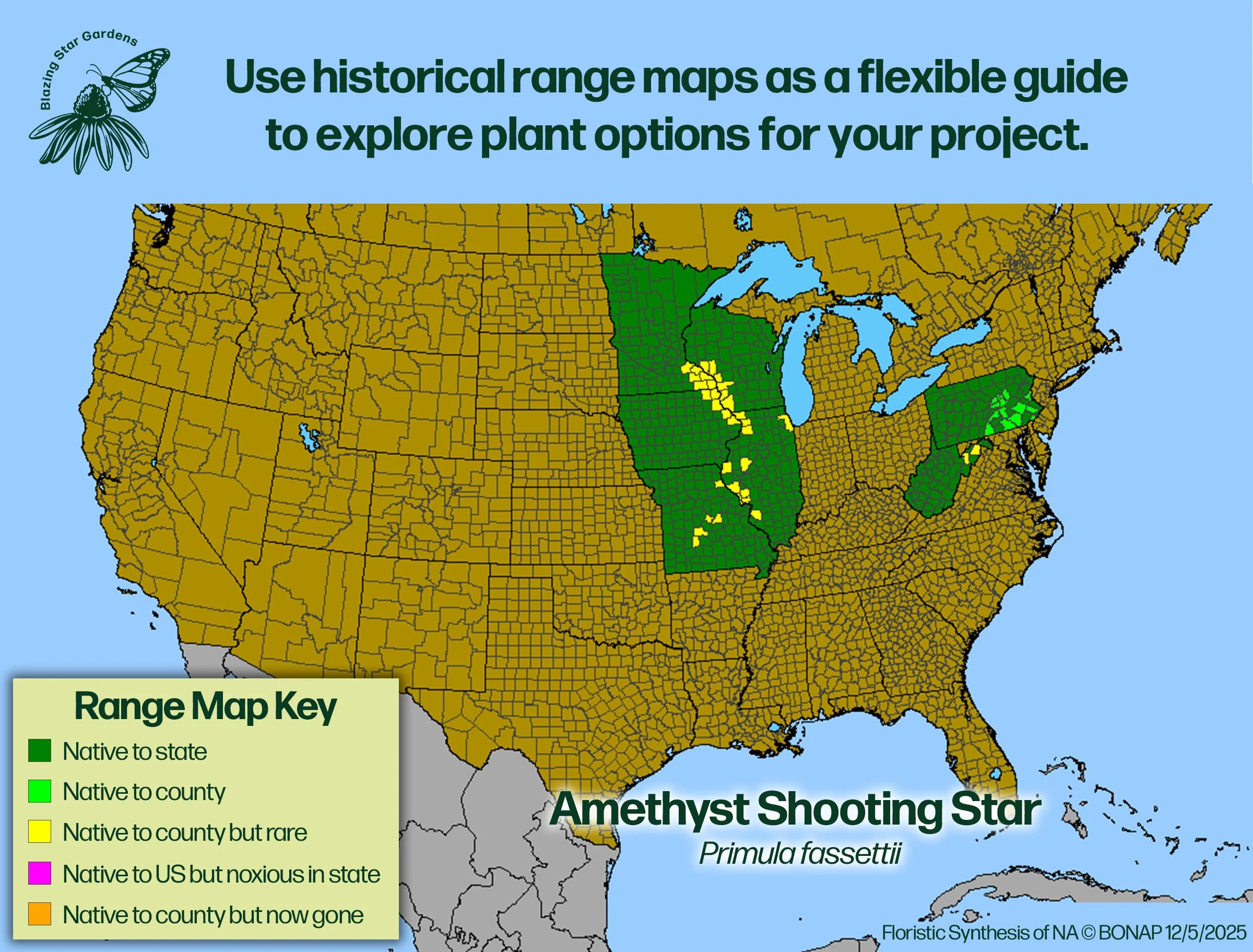 Native-range-map-Amethyst-Shooting-Star-Primula-fassettii-Native-plant.jpg (Copy)