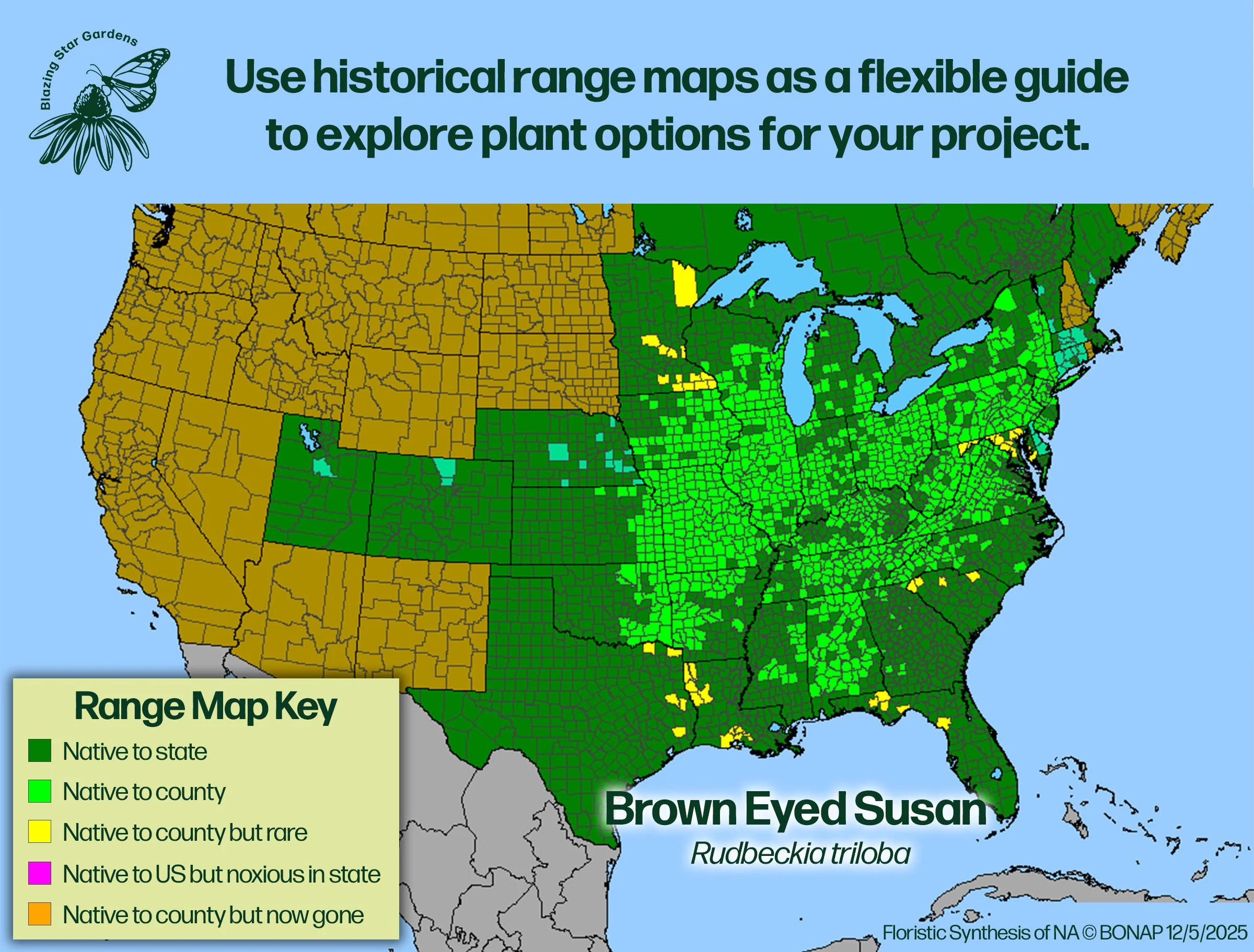 Native-range-map-for-Brown-Eyed-Susan-Rudbeckia-triloba-Native-plant-wild-flower-nursery.jpg