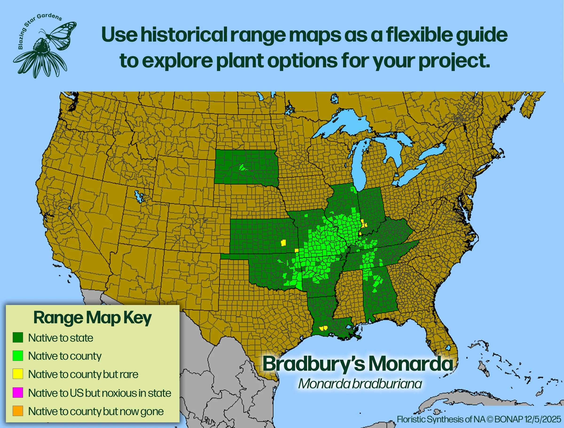 Native-range-map-Bradburys-Monarda-Monarda-bradburiana-Native-plant.jpg