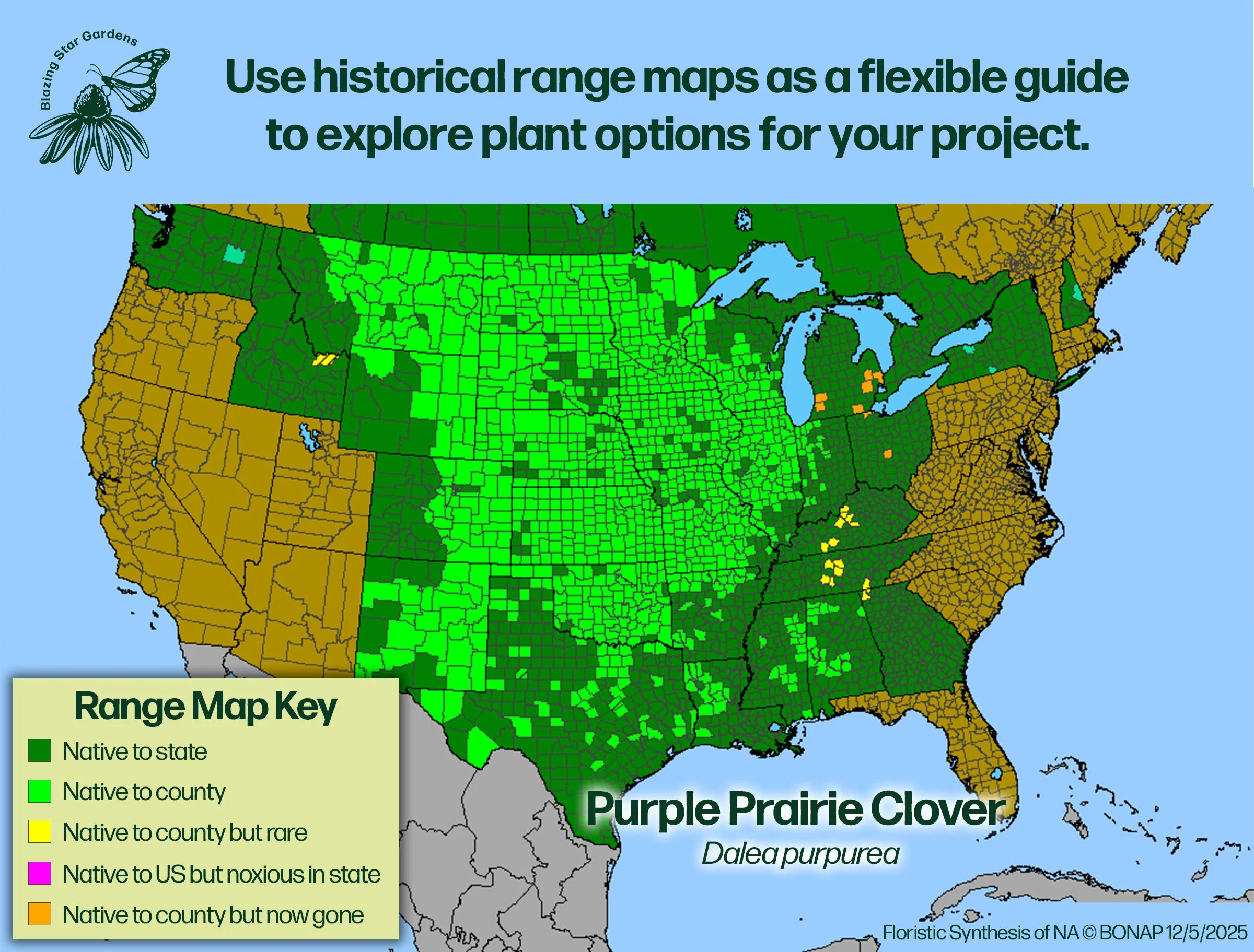 Native-range-map-for-Purple-Prairie-Clover-Dalea-purpurea-Native-plant-wild-flower-nursery.jpg