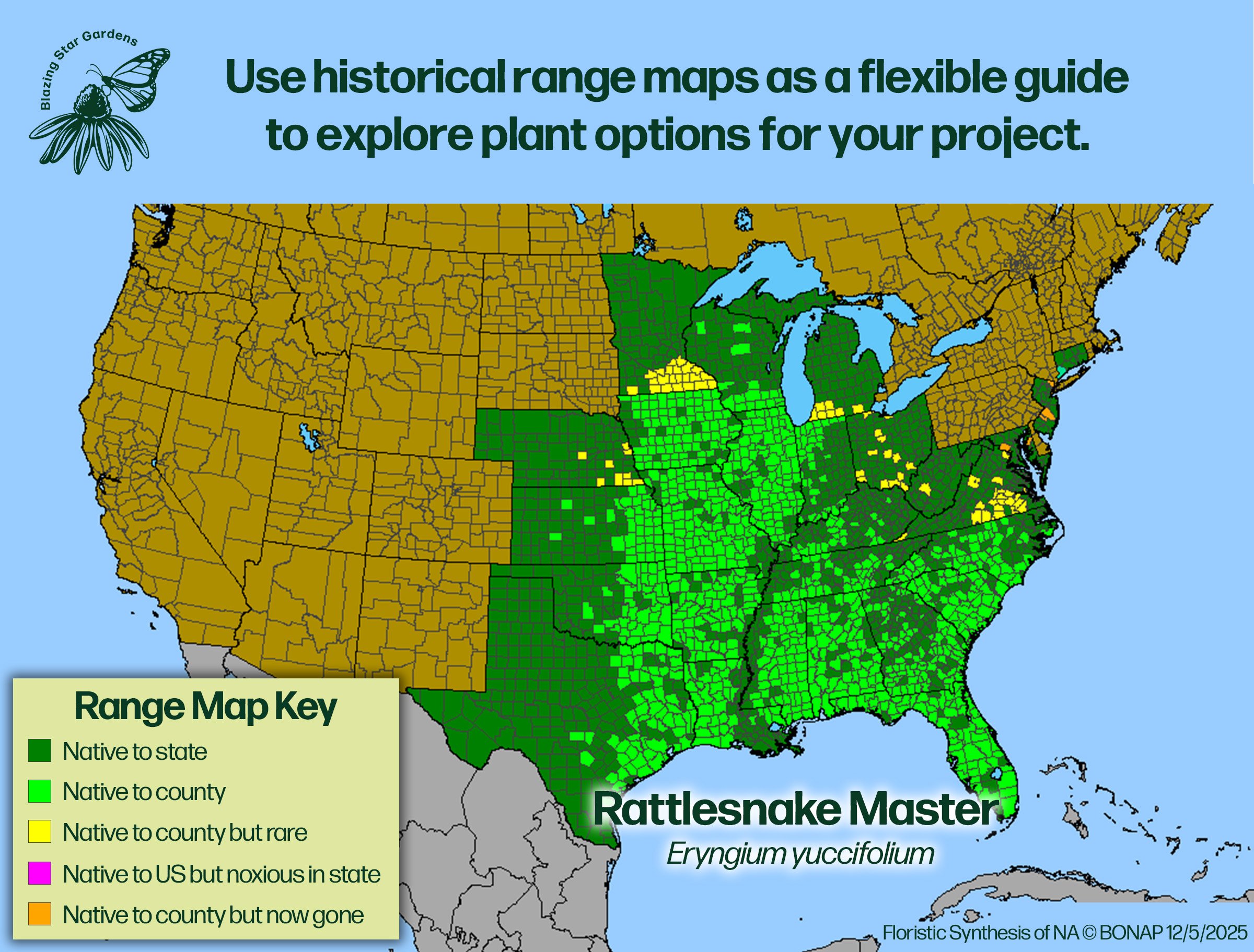 Native-range-map-Rattlesnake-Master-Eryngium-yuccifolium-Native-plant.jpg