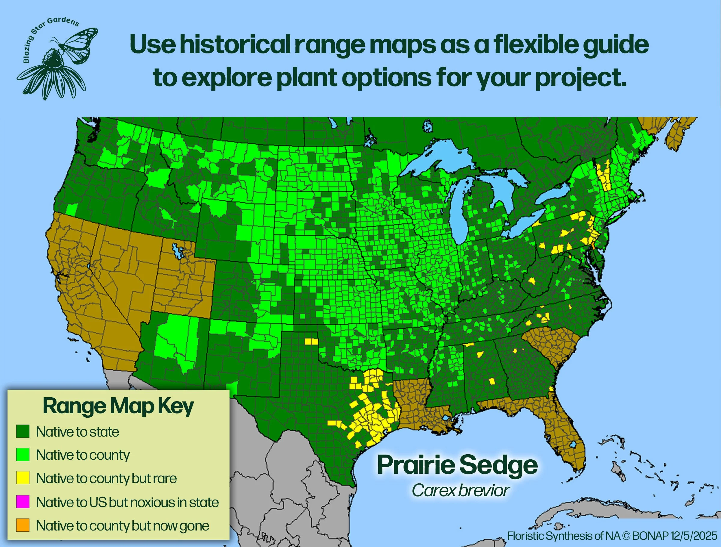 Native-range-map-for-Prairie-Sedge-Carex-brevior-Native-plant-wild-flower-nursery.jpg